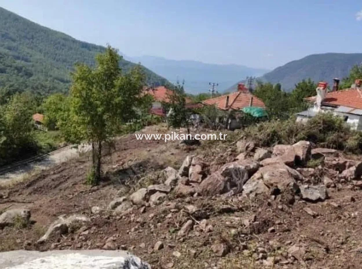 Muğla Köyceğiz Yayla Mah 560 M2 Land For Sale