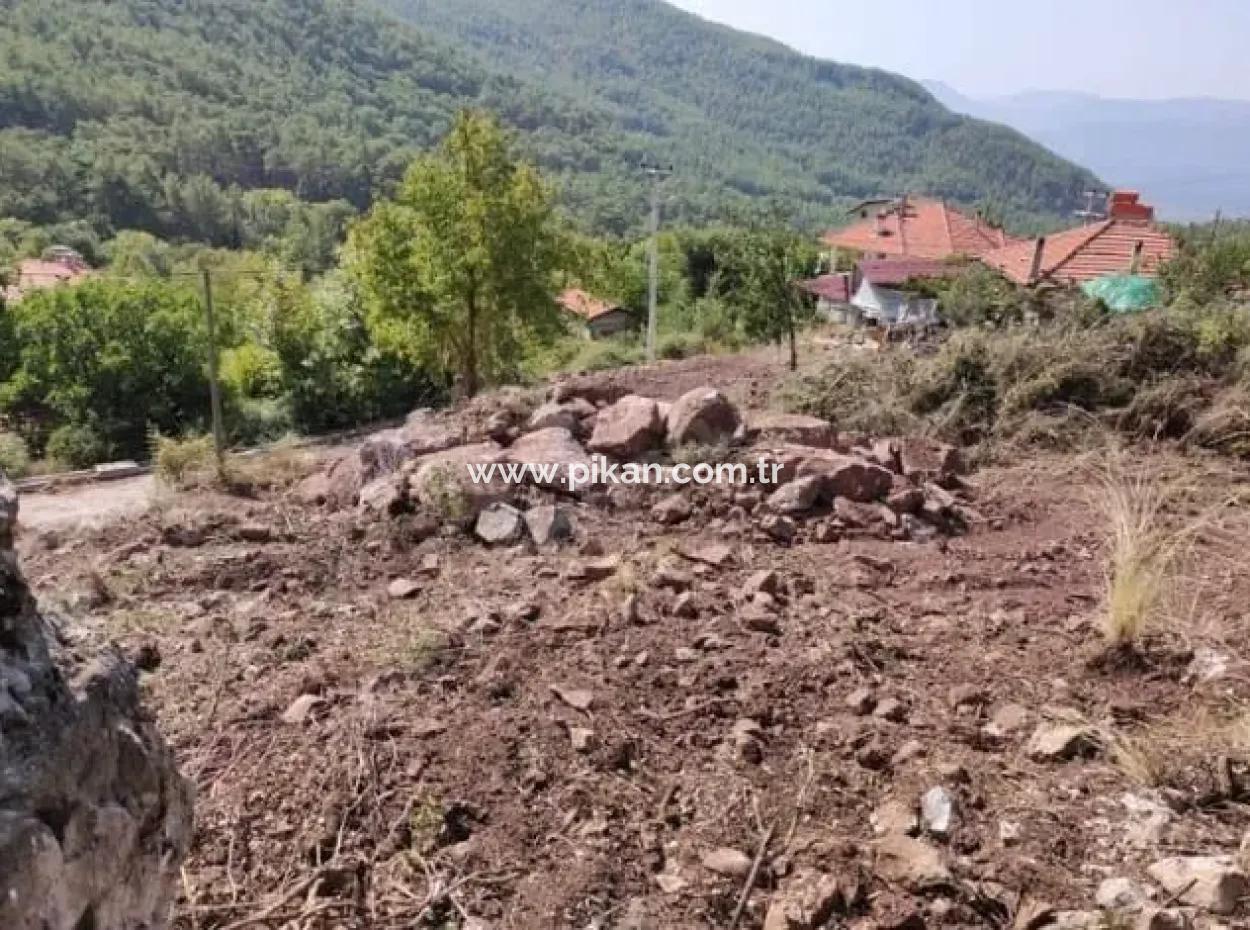 Muğla Köyceğiz Yayla Mah 560 M2 Land For Sale
