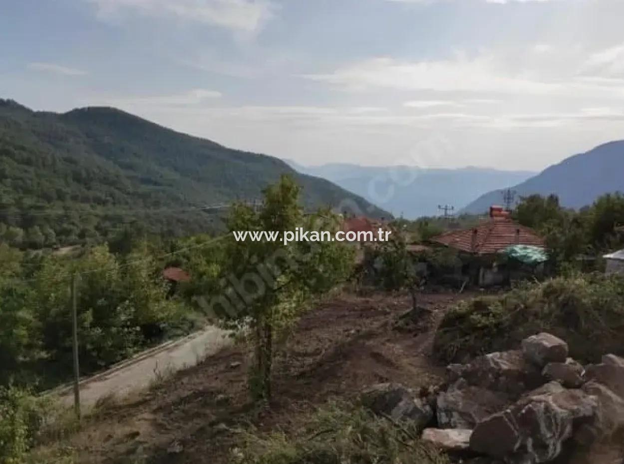 Muğla Köyceğiz Yayla Mah 560 M2 Land For Sale