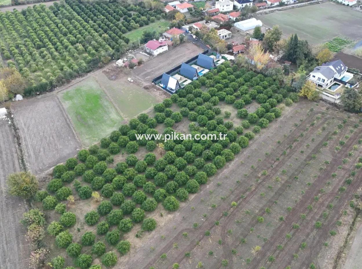 9750 M2 Land For Sale In Ortaca Okçular Zoning Plan Suitable For Investment