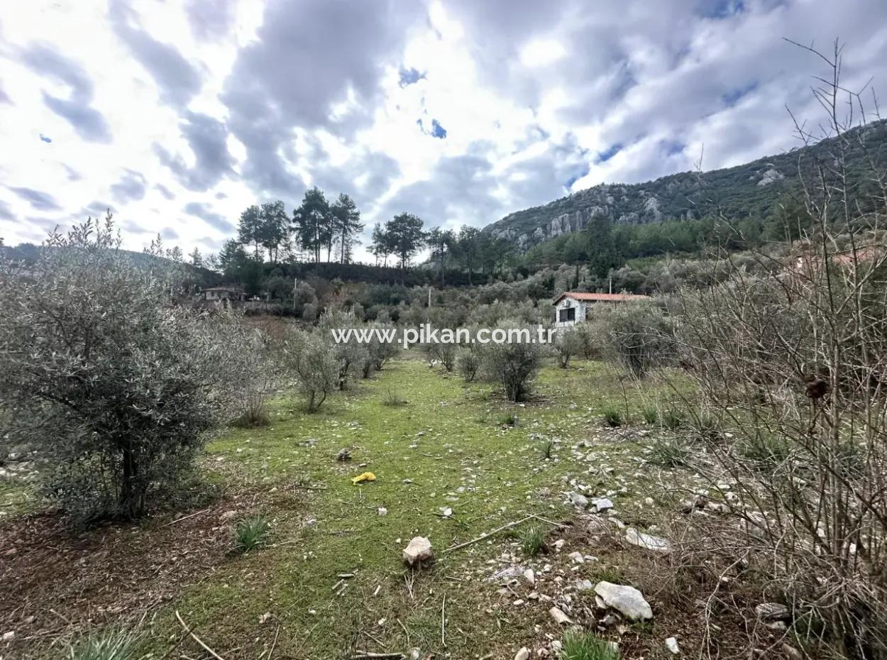 For Sale In Fethiye Gökçeovacıkta 1709 M2
