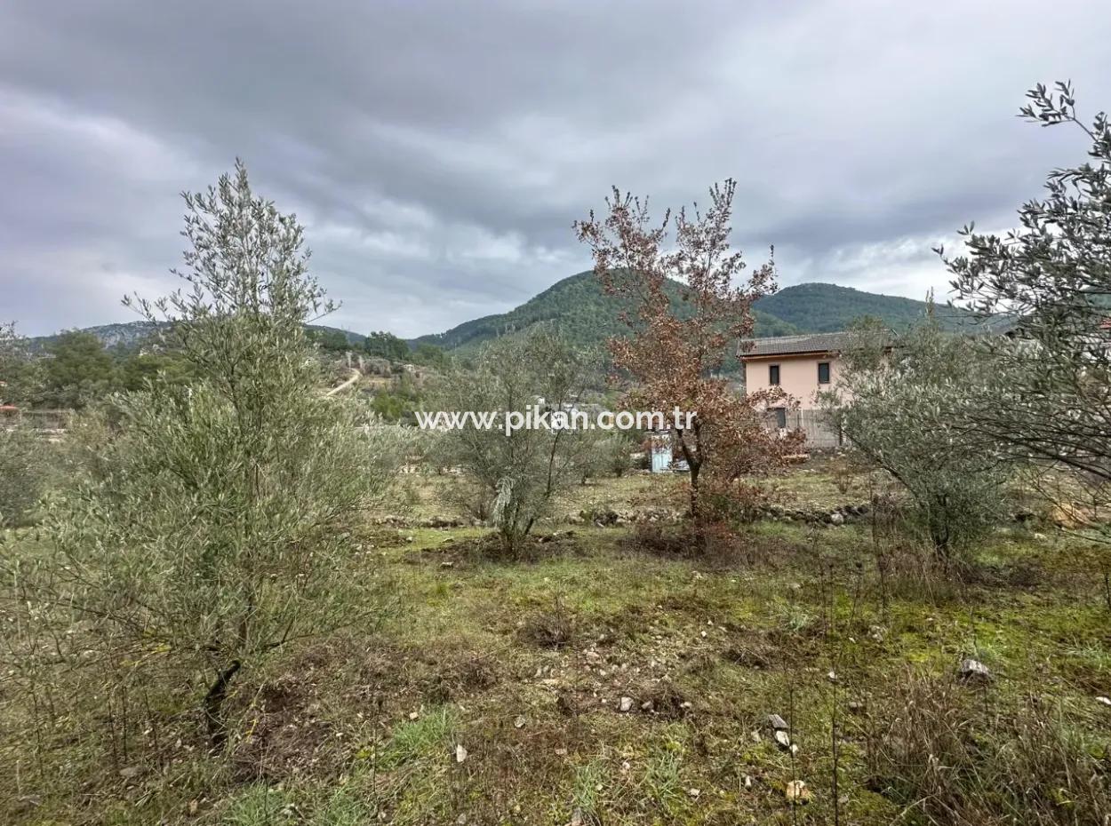 For Sale In Fethiye Gökçeovacıkta 1709 M2