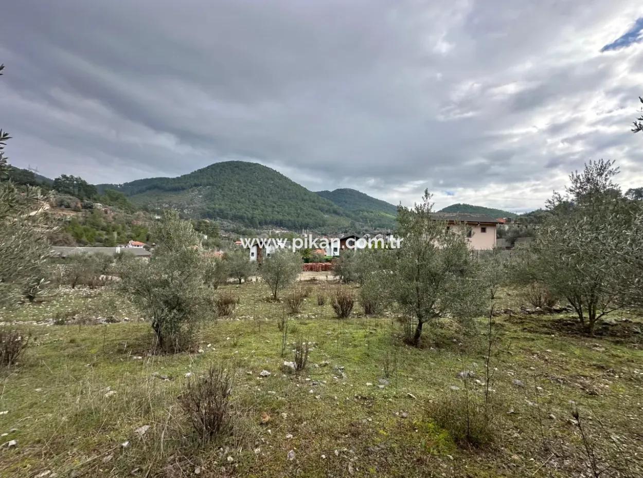 For Sale In Fethiye Gökçeovacıkta 1709 M2