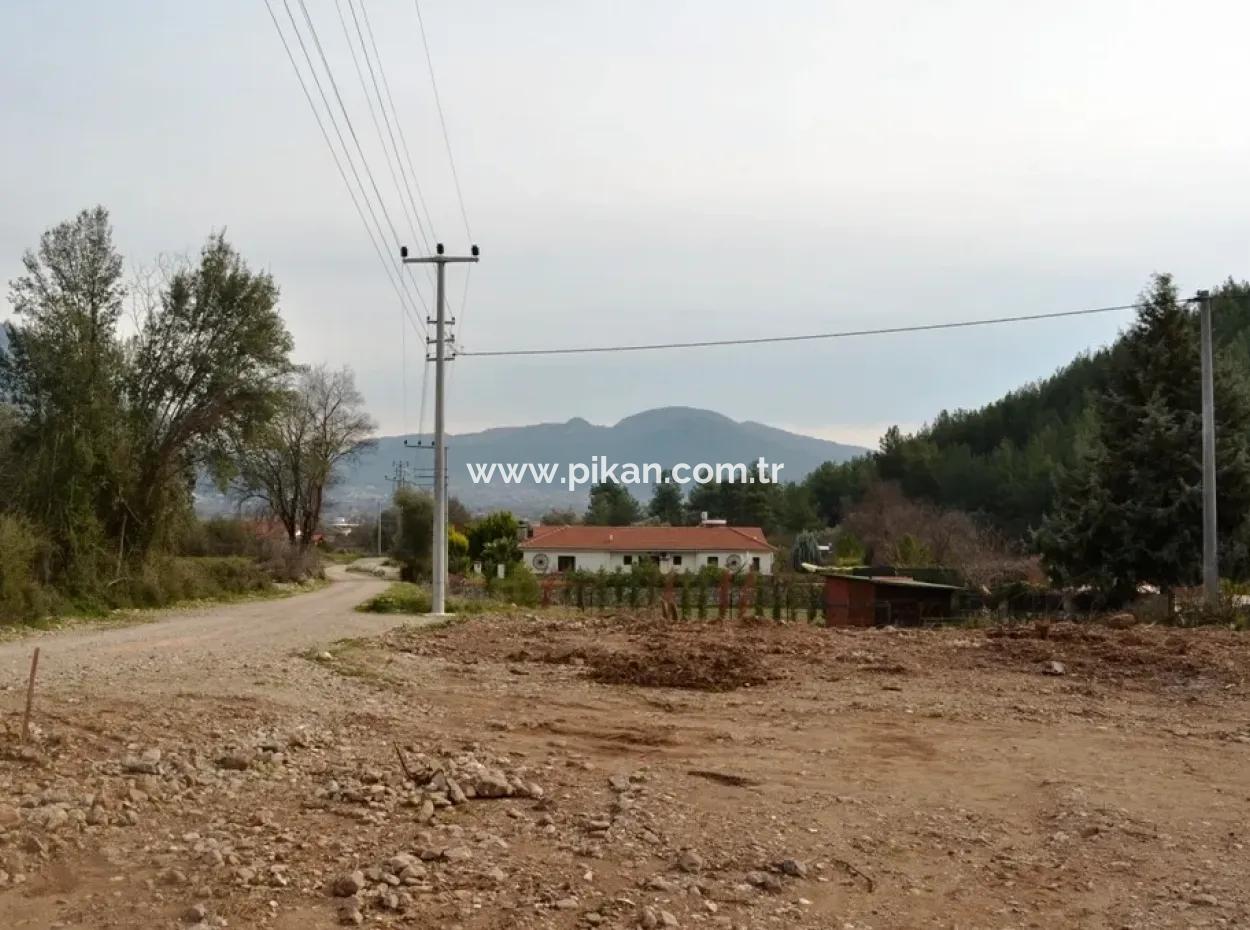 Farm For Sale Incirkoy Fethiye Bargain