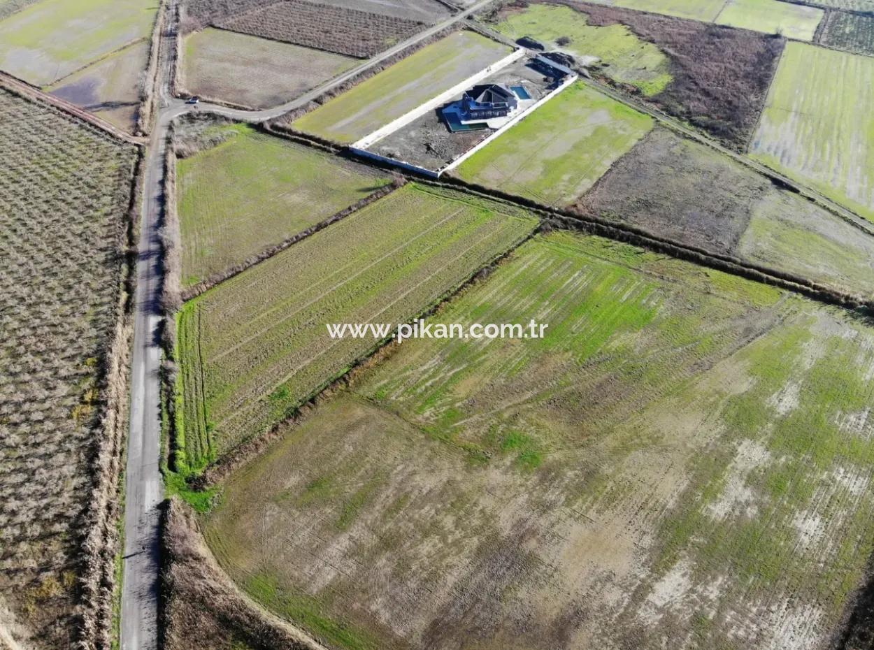 Fields Suitable For Cooperative In Ortaca Güzelyurt Are For Sale