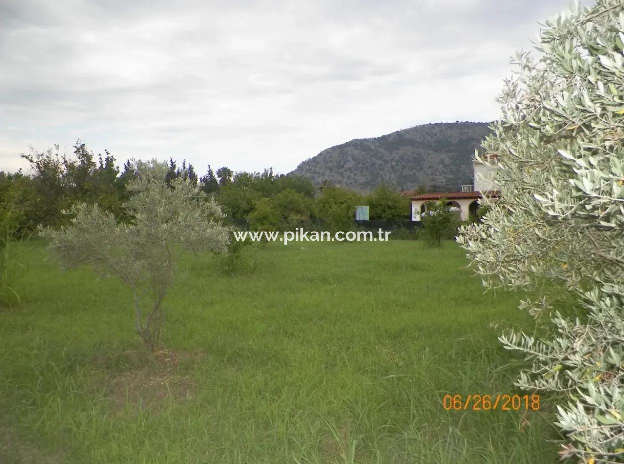 Land For Sale In Dalyan, Property For Sale Bargain