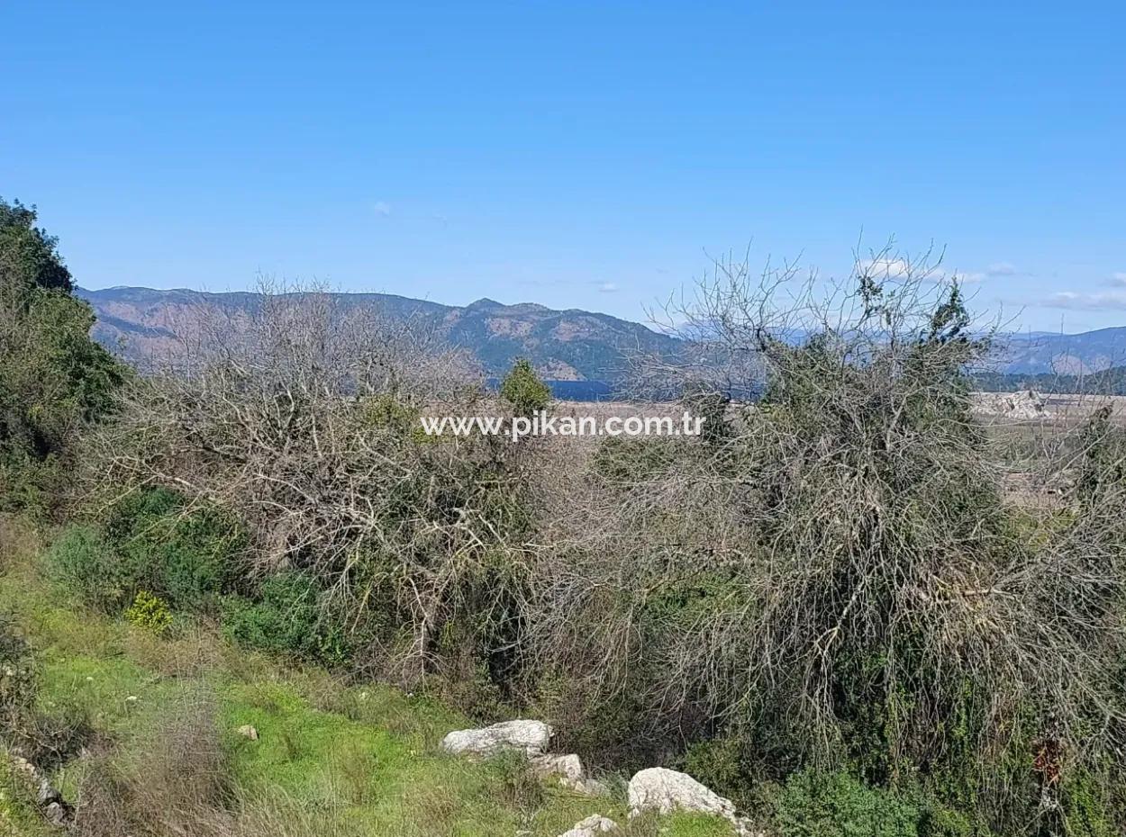 1.000M2 Detached Land With Köyceğiz Lake View For Sale In Dalyan