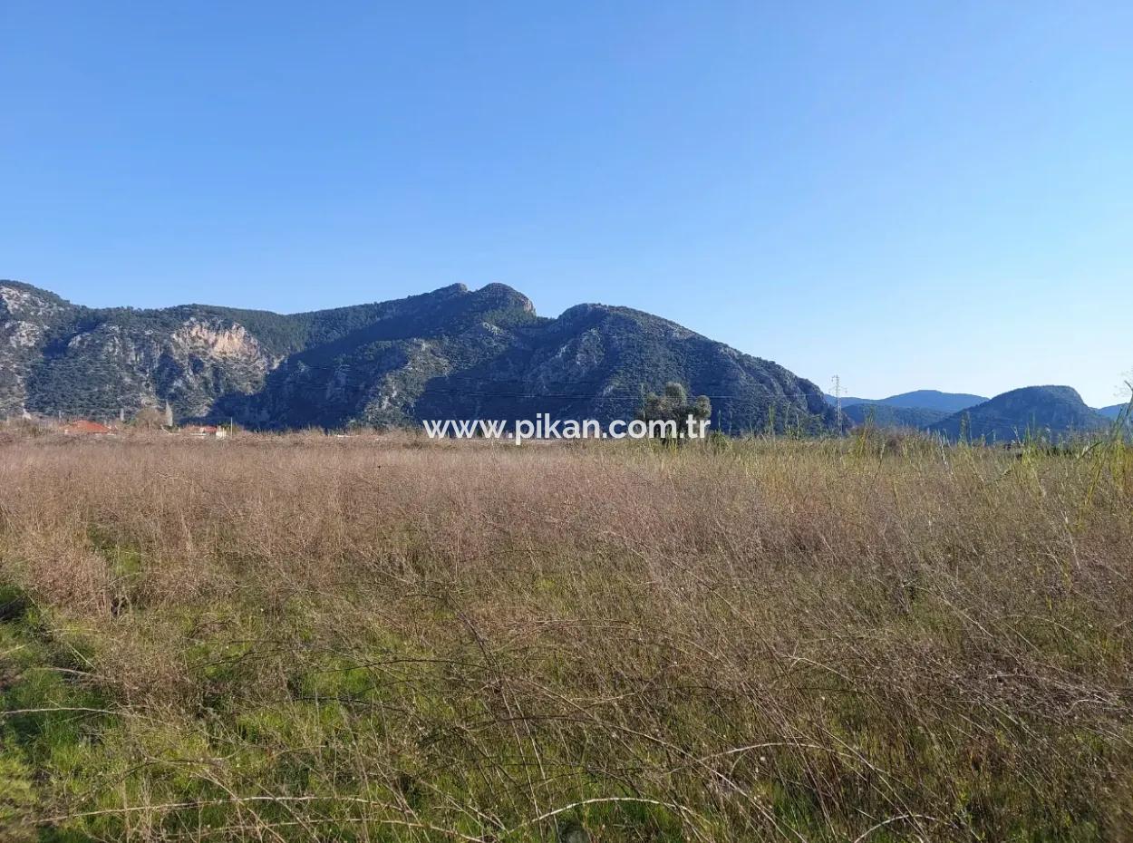4.800 M2 Land For Sale In Muğla Ortaca Dalyan