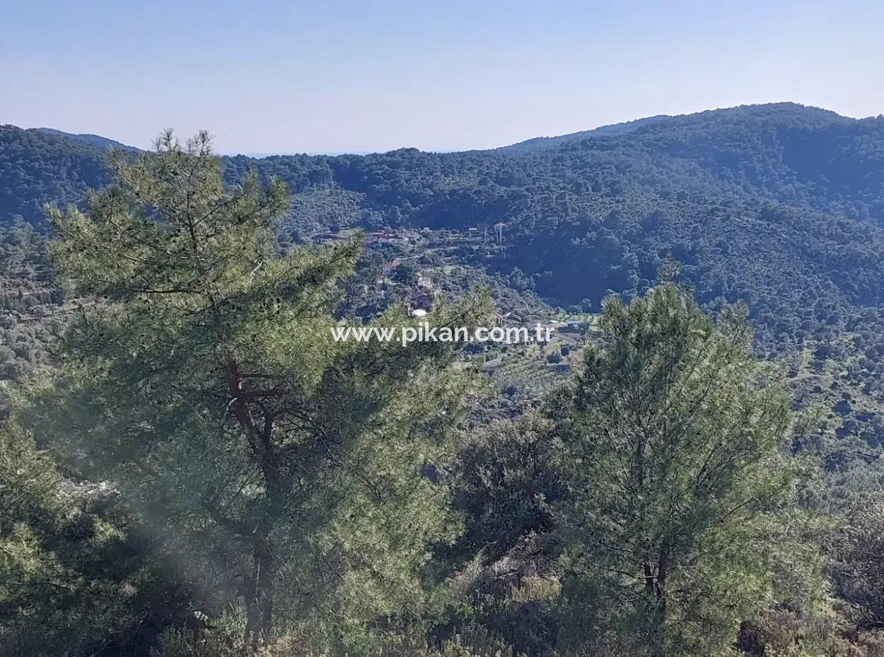 28.350 M2 Land For Sale In Ortaca Gökbelde With Detached Title Deed Sea View