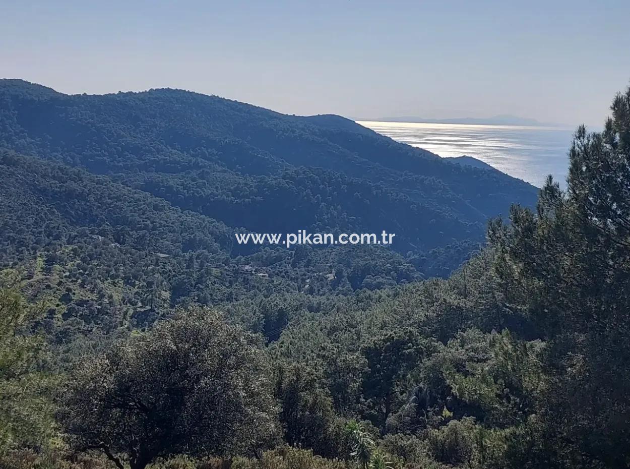 28.350 M2 Land For Sale In Ortaca Gökbelde With Detached Title Deed Sea View
