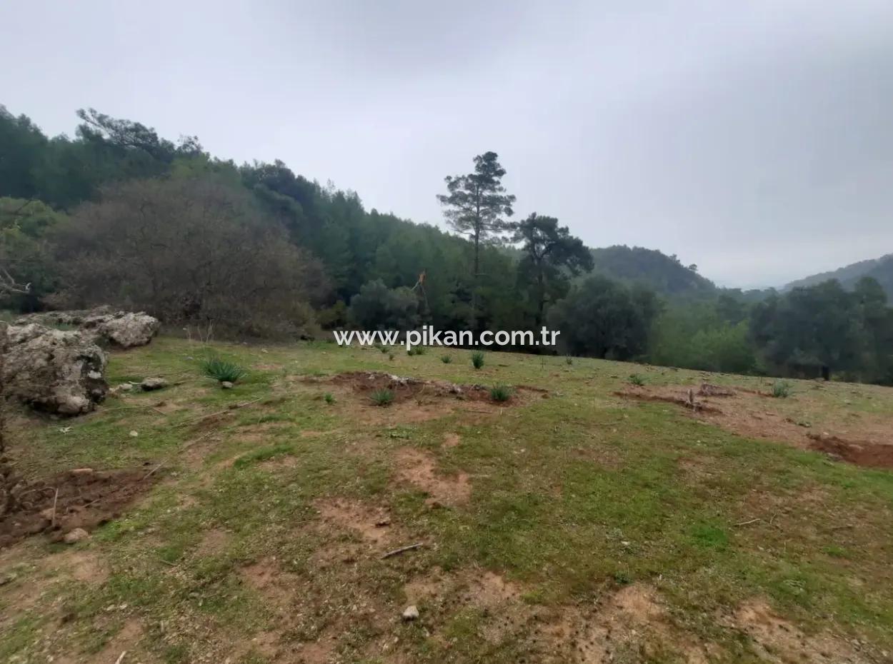 24.000 M2 Detached Land For Sale In Muğla Dalyan Gökbelde Nature