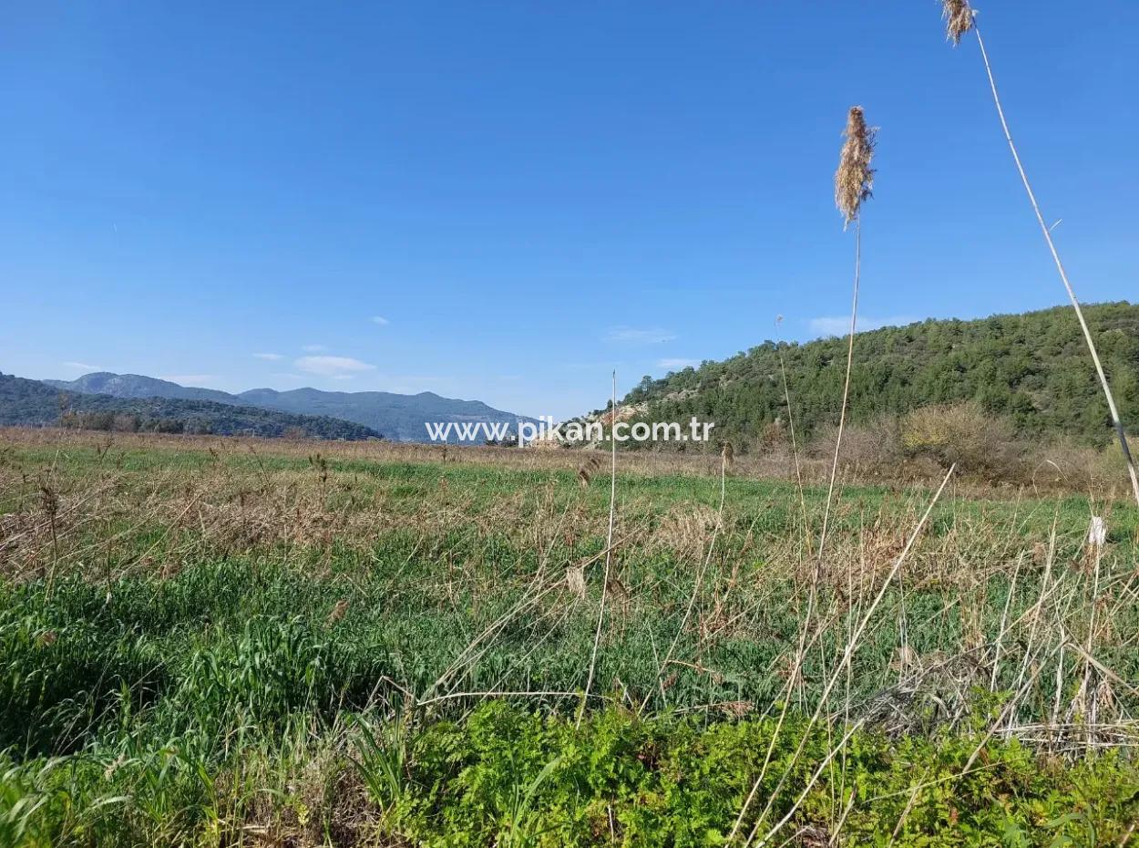 Fertile 6.350 M2 Land For Sale In Muğla Ortaca Güzelyurt