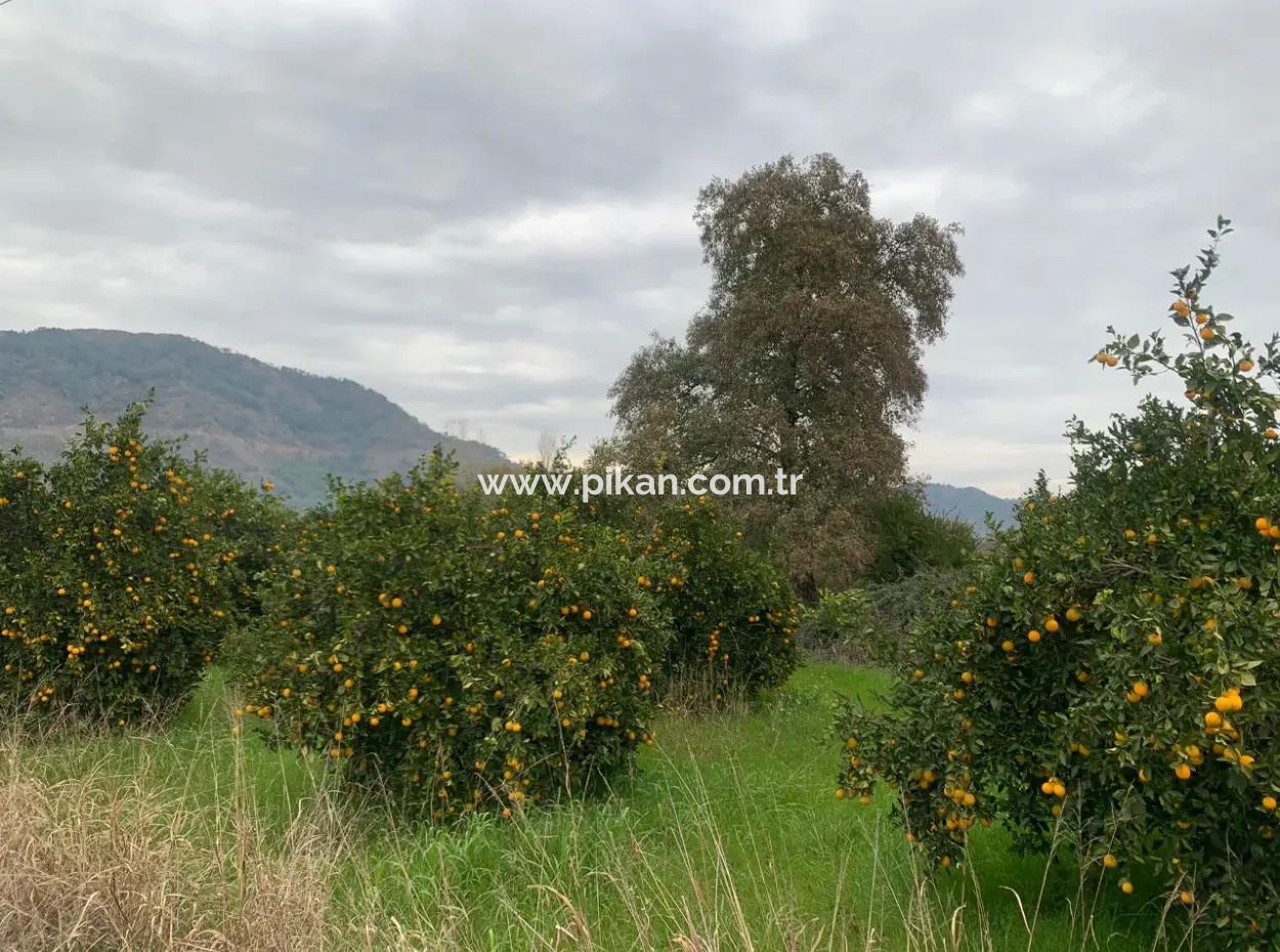 1084 M2 Zoned Bargain Land For Sale In Ortaca Ekşiliyurt