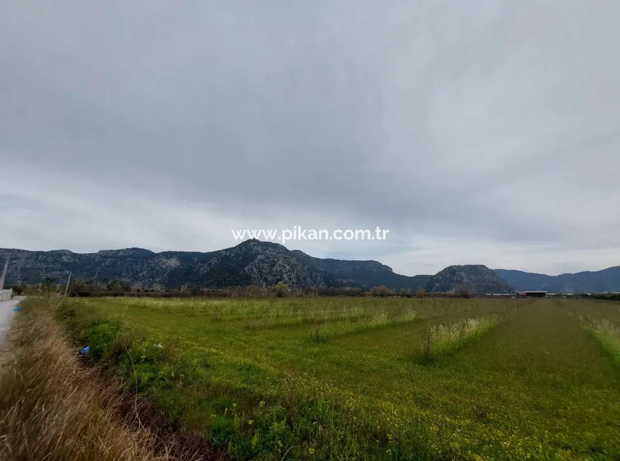 5 000 M2, 250 M2 Construction Permit, Land Close To Dalyan Canal For Sale In Dalyan, Muğla