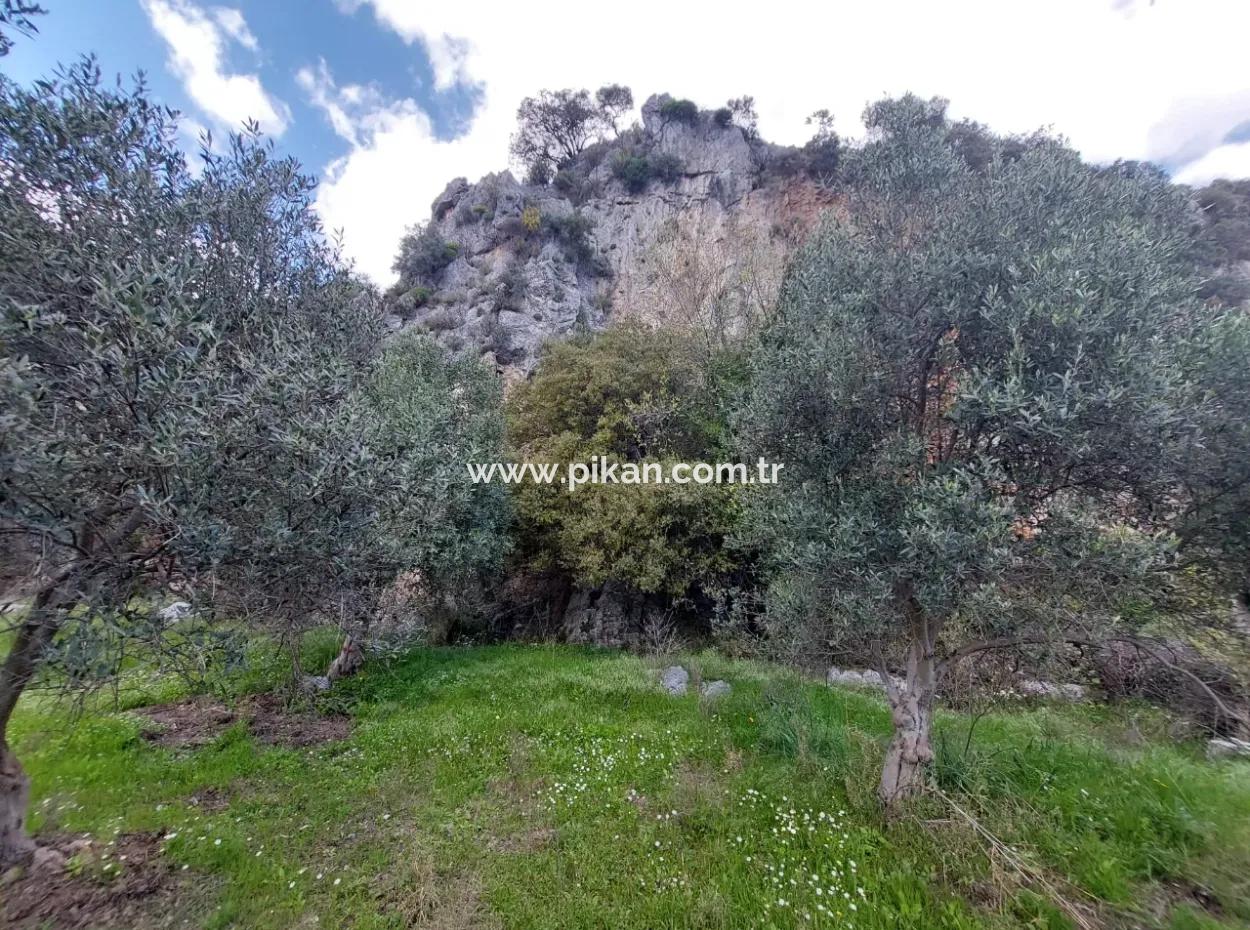 Muğla Köyceğiz Çandırda 3.750 M2 Land For Sale Close To Dalyan Canal