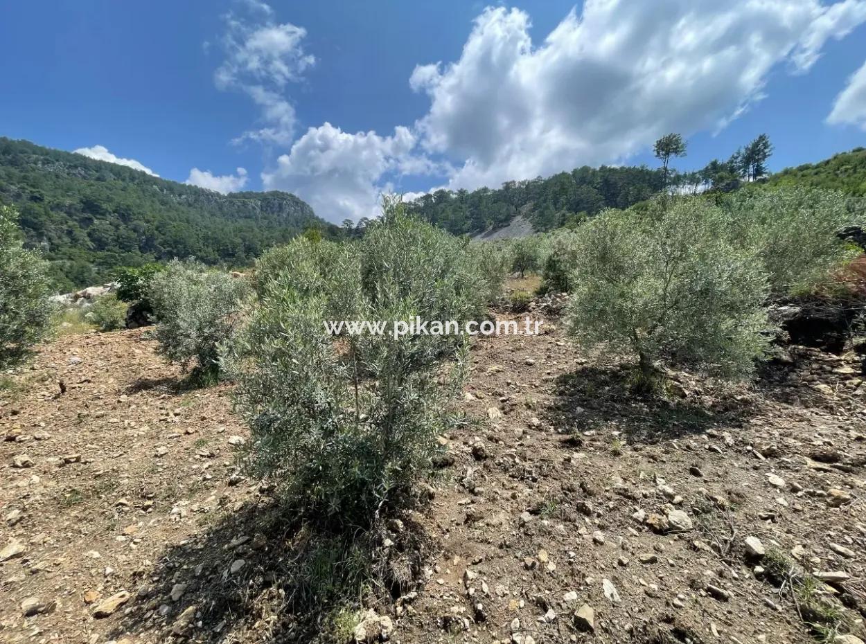 Dalaman, 500M2 On The Side Of Bozbel Dam