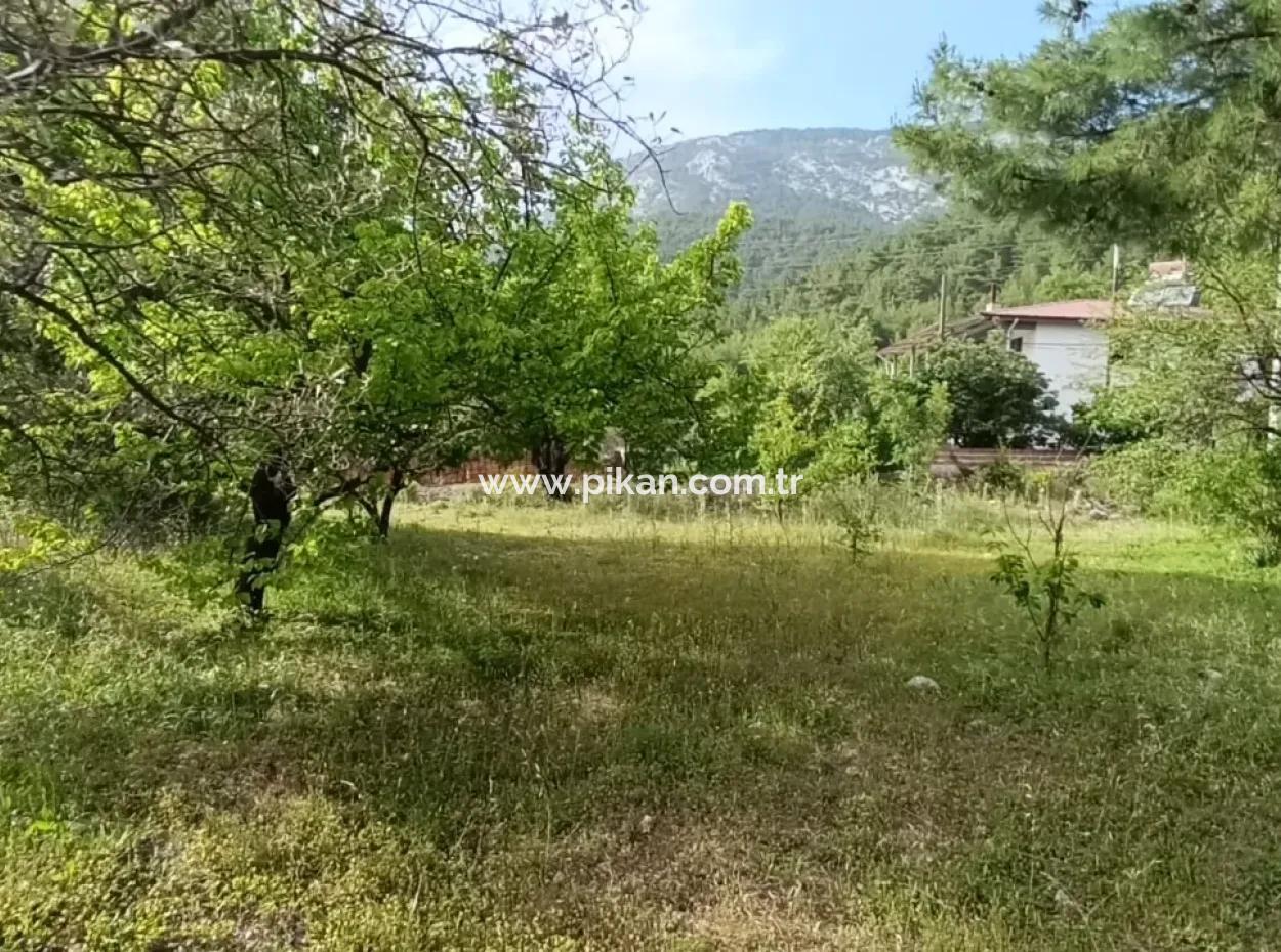 1228 M2 Land And Kargir House For Sale In Muğla Menteşe Yaraş, Village In Village.   