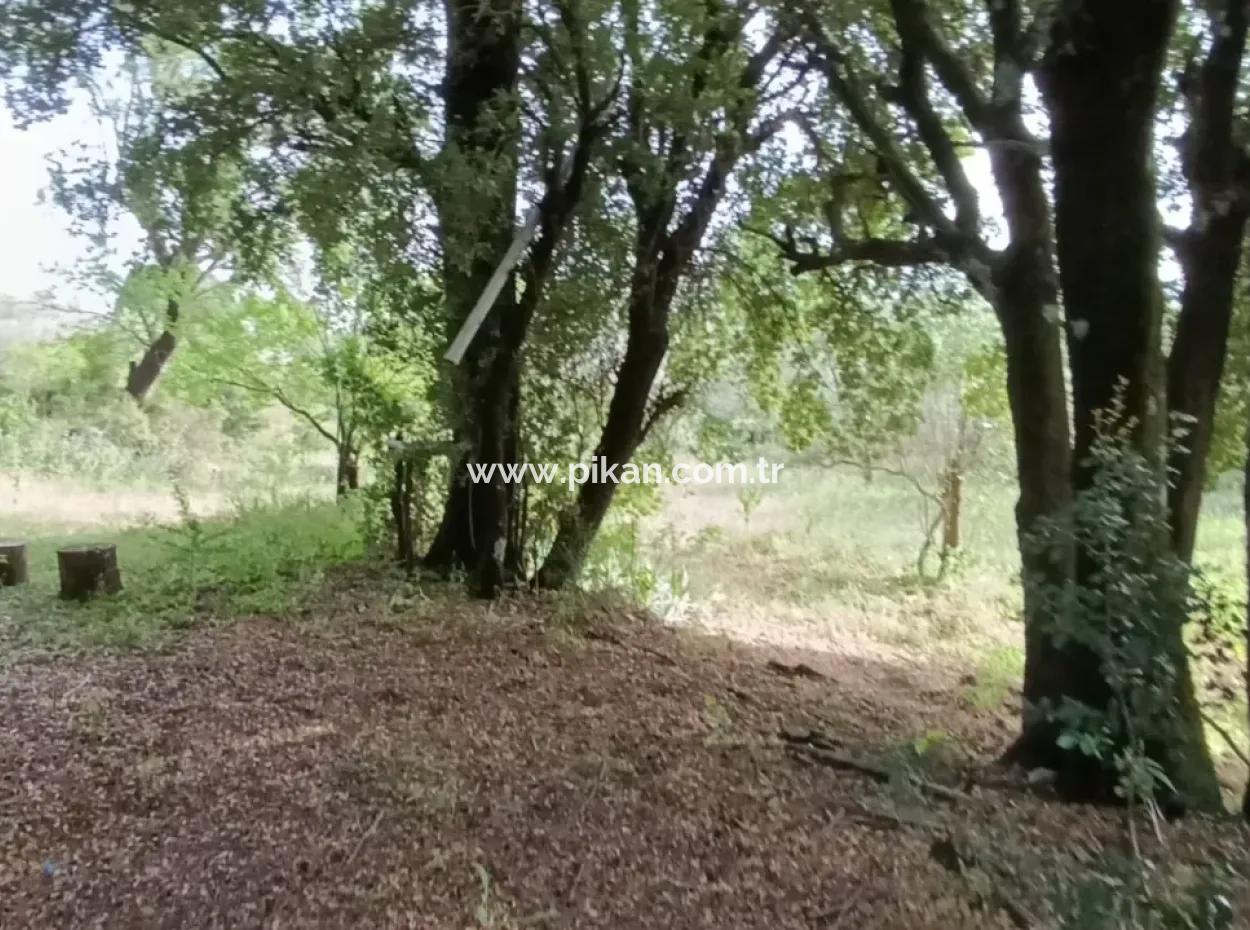 1228 M2 Land And Kargir House For Sale In Muğla Menteşe Yaraş, Village In Village.   