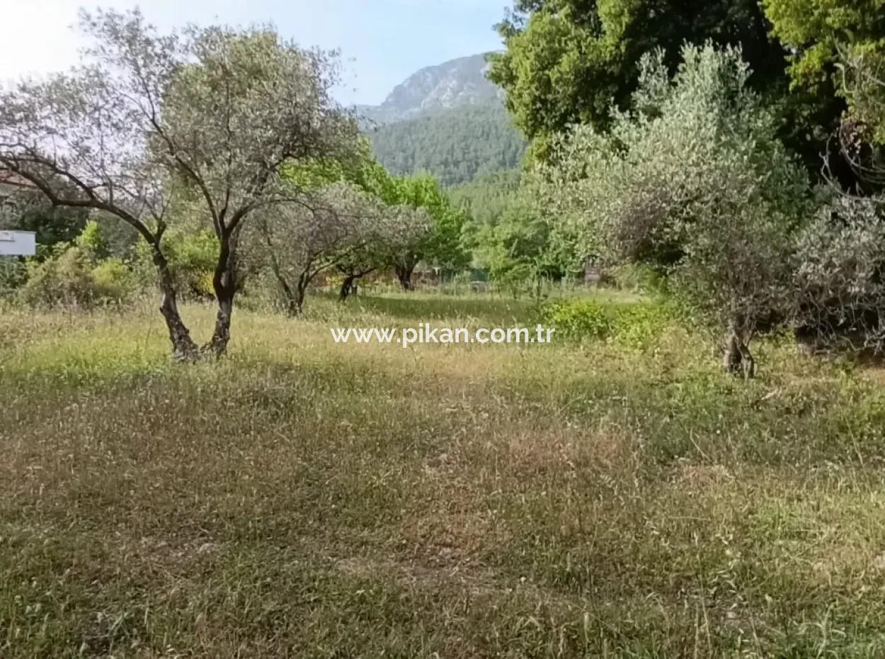 1228 M2 Land And Kargir House For Sale In Muğla Menteşe Yaraş, Village In Village.   