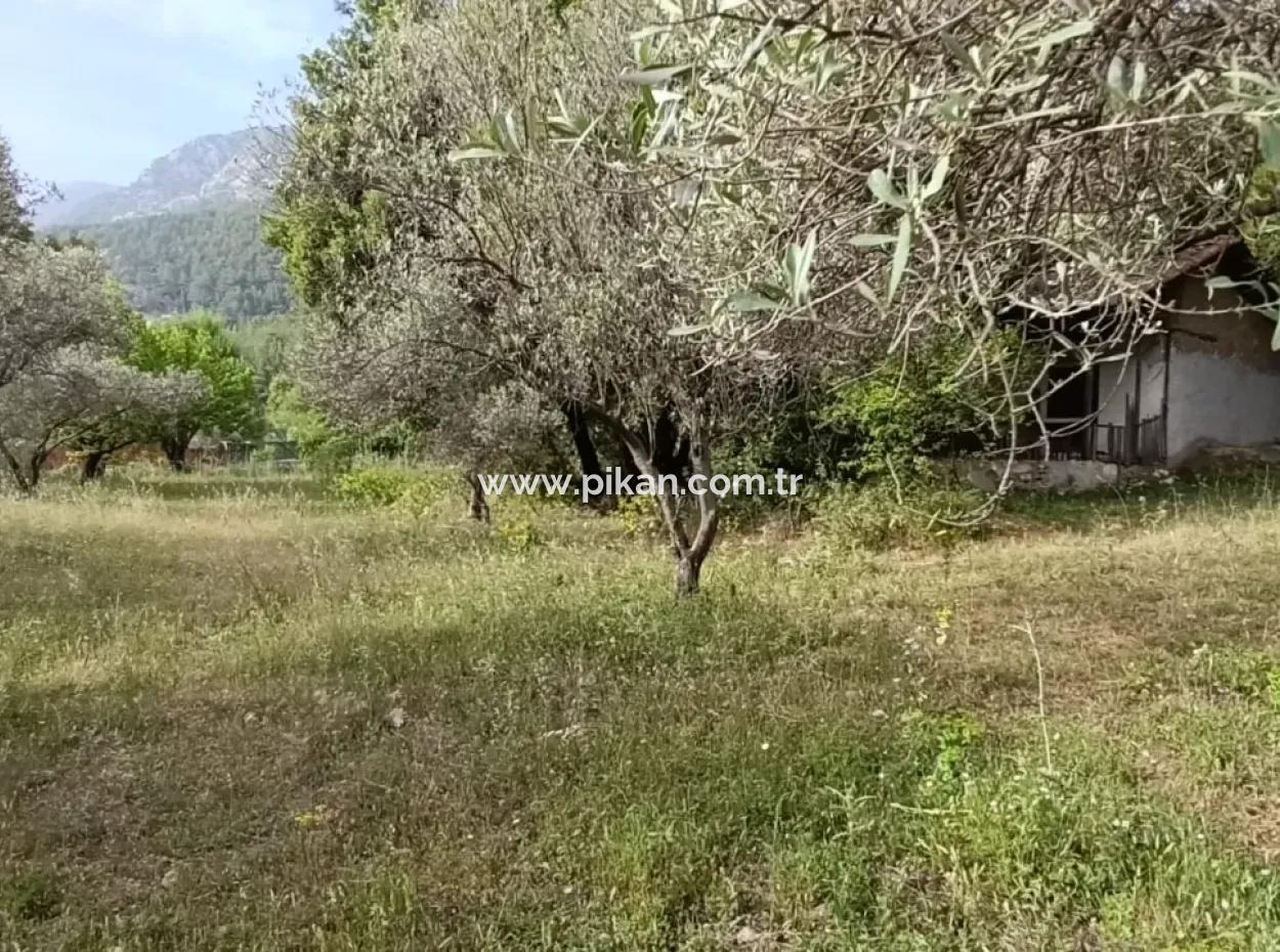 1228 M2 Land And Kargir House For Sale In Muğla Menteşe Yaraş, Village In Village.   