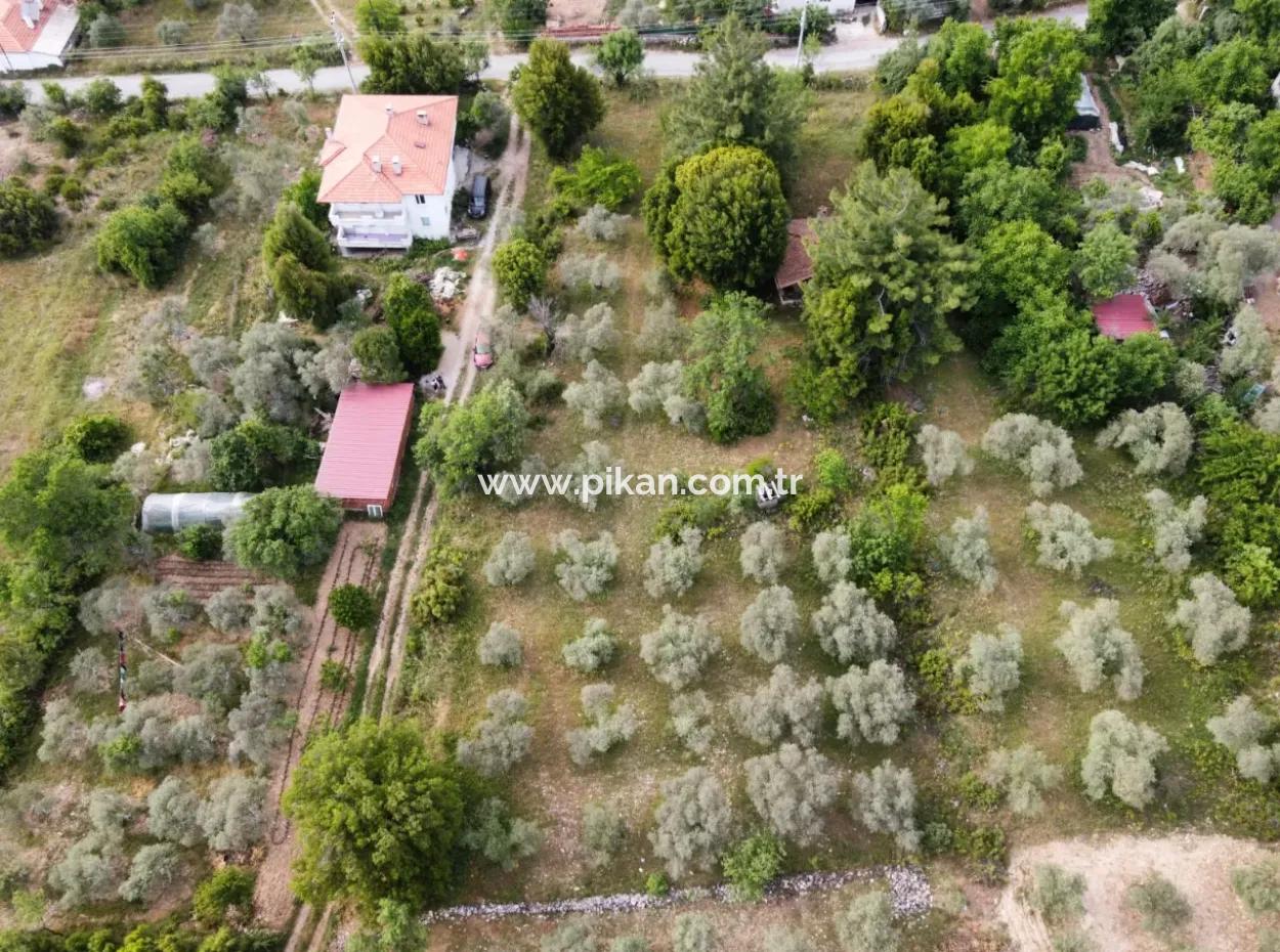 1228 M2 Land And Kargir House For Sale In Muğla Menteşe Yaraş, Village In Village.   