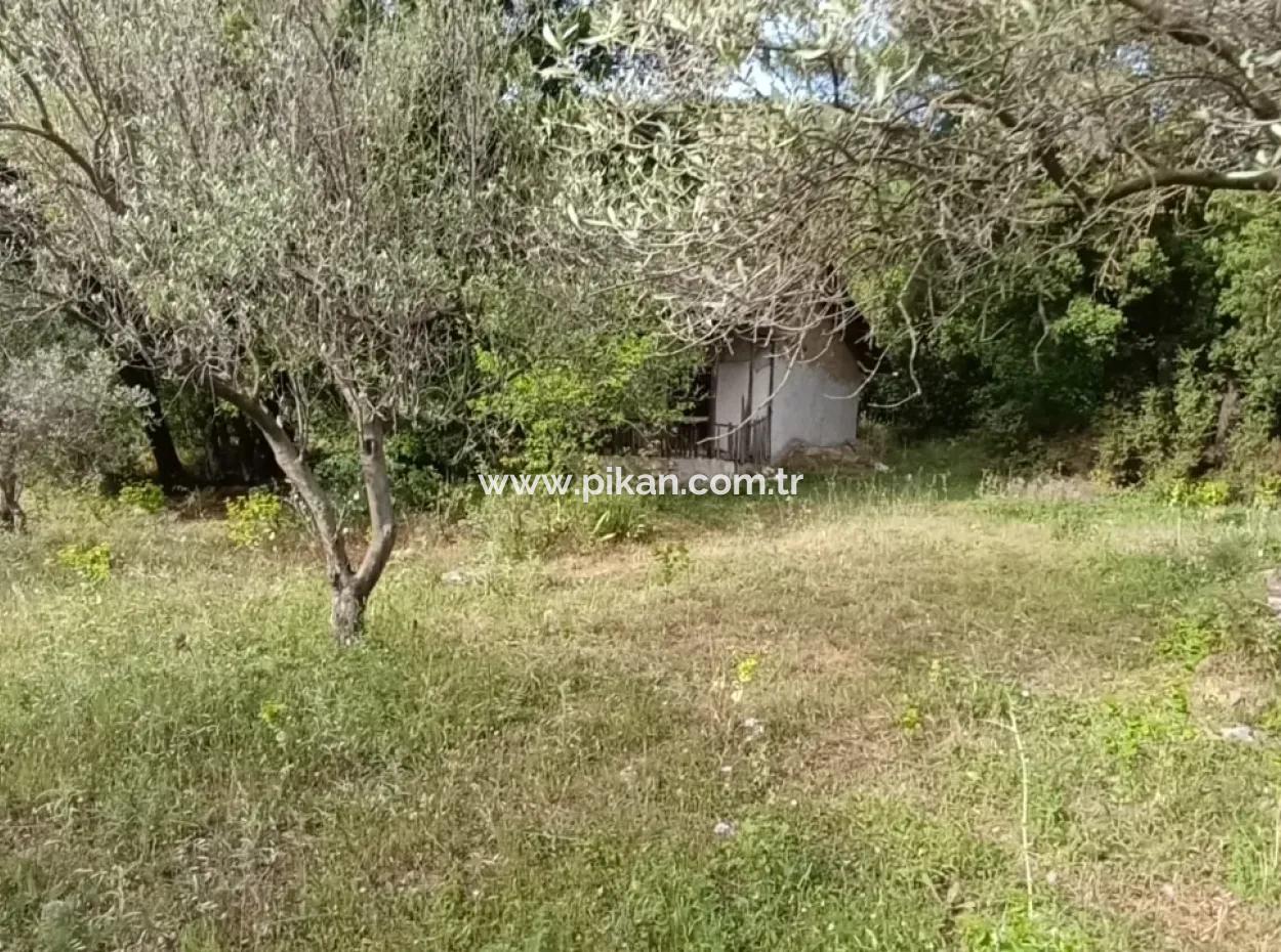 1228 M2 Land And Kargir House For Sale In Muğla Menteşe Yaraş, Village In Village.   