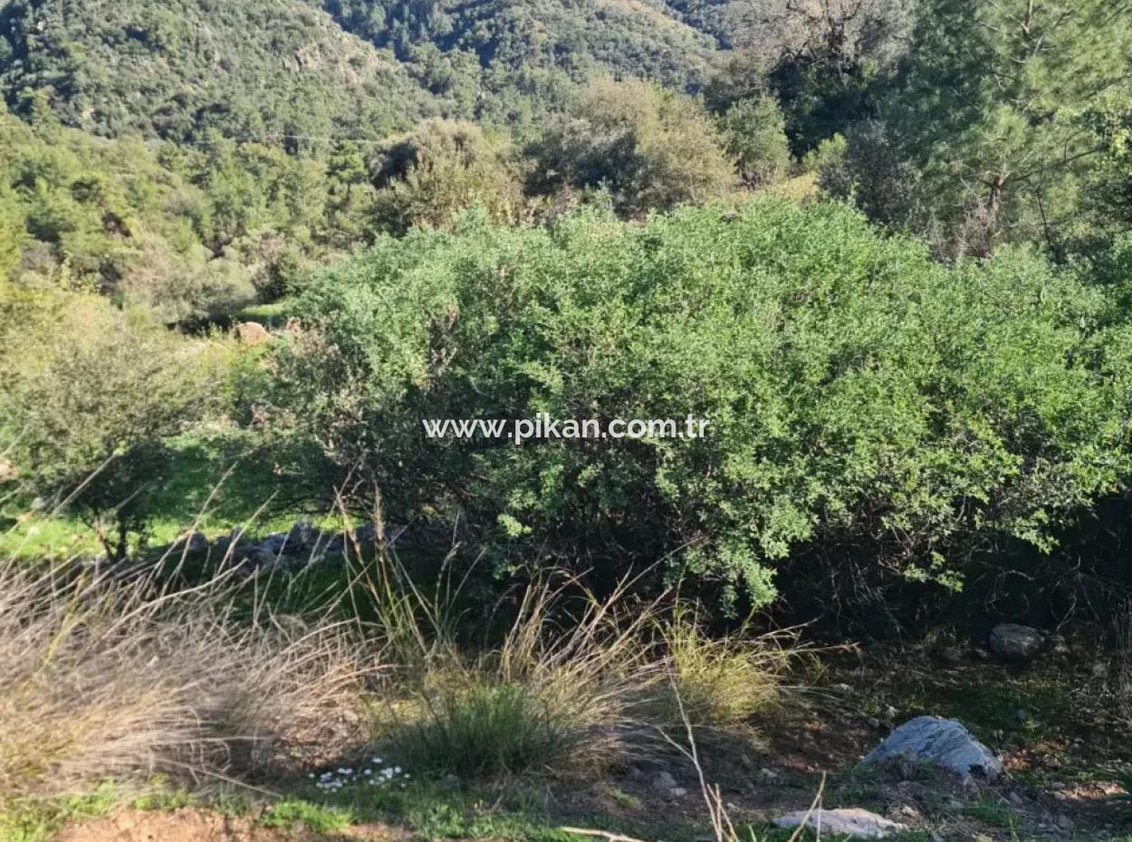 15.000 M² Detached Land With A Partial Sea View Is For Sale In Muğla Fethiye İnlice Mahallesi Kertmeç Location.