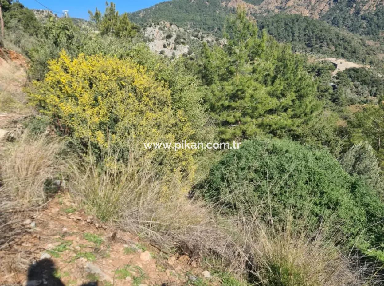 Fethiye İnlicede Sea View 3 970 M2 Detached Land For Sale