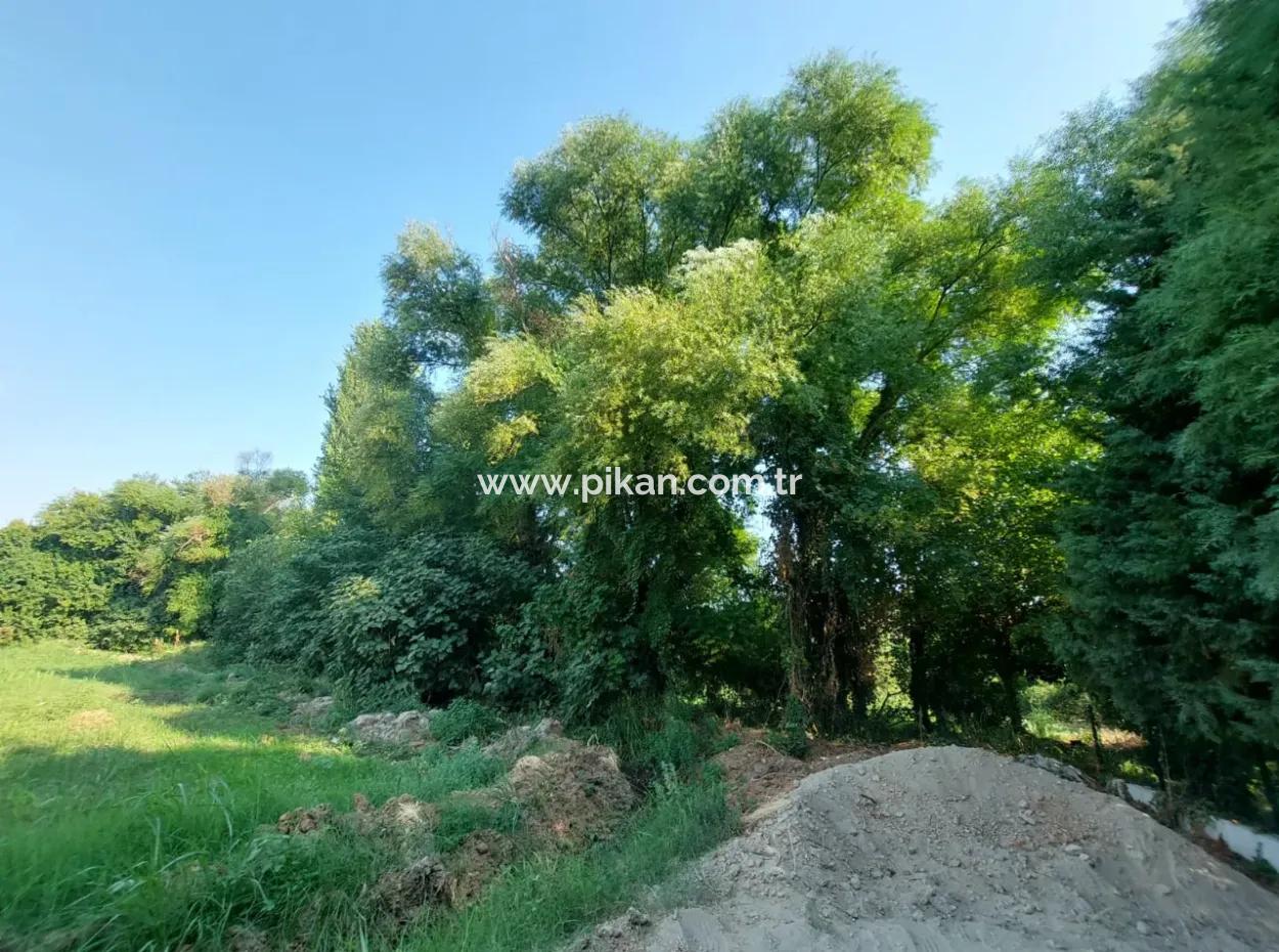Detached 1.300 M2, 250M2 Bargain Land With Construction Rights For Sale In Köyceğiz Beyobası