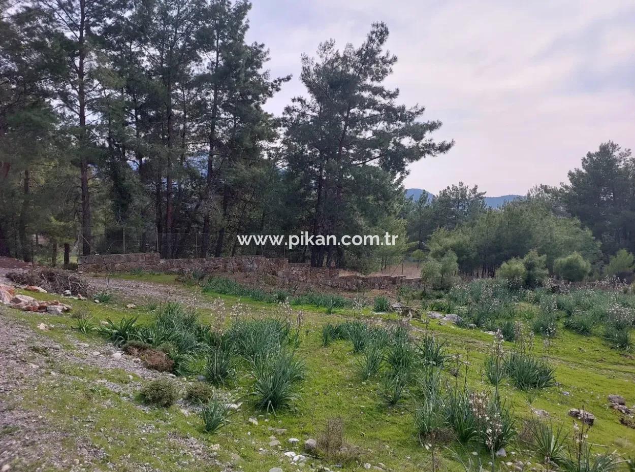 3.500 M2 Detached Land With Sea View For Sale In Dalaman Gürköy