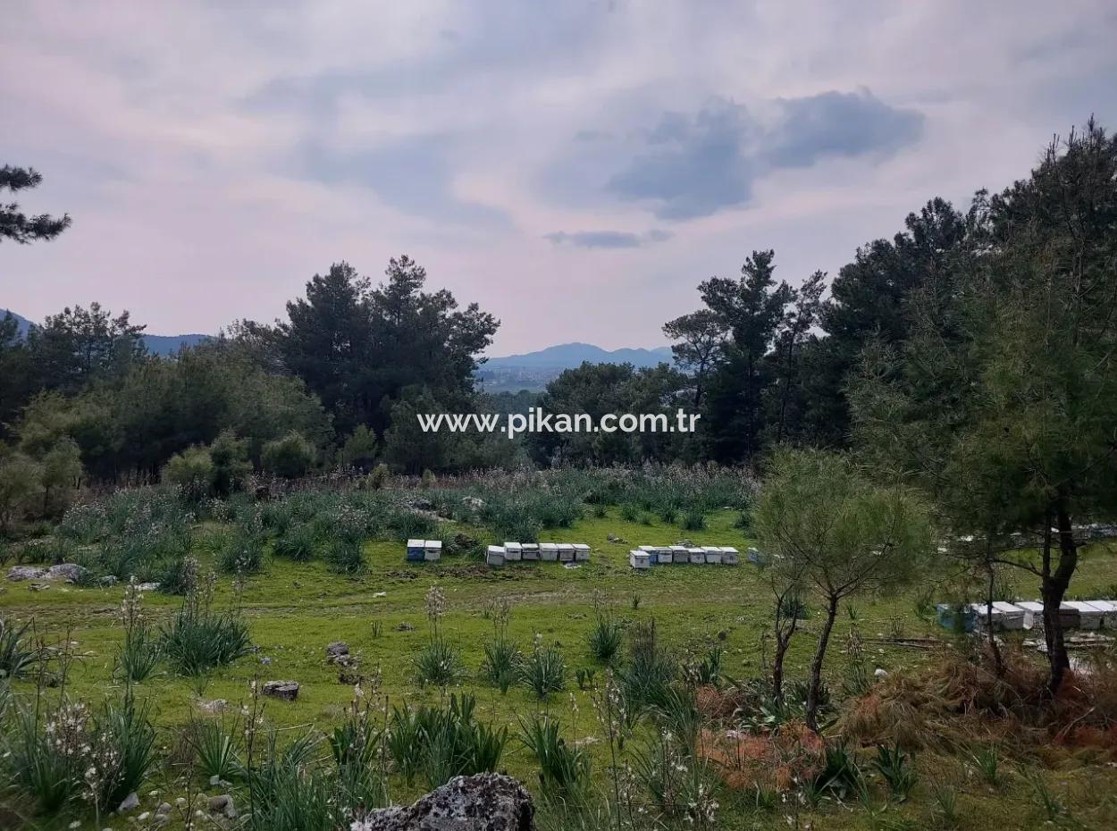 3.500 M2 Detached Land With Sea View For Sale In Dalaman Gürköy