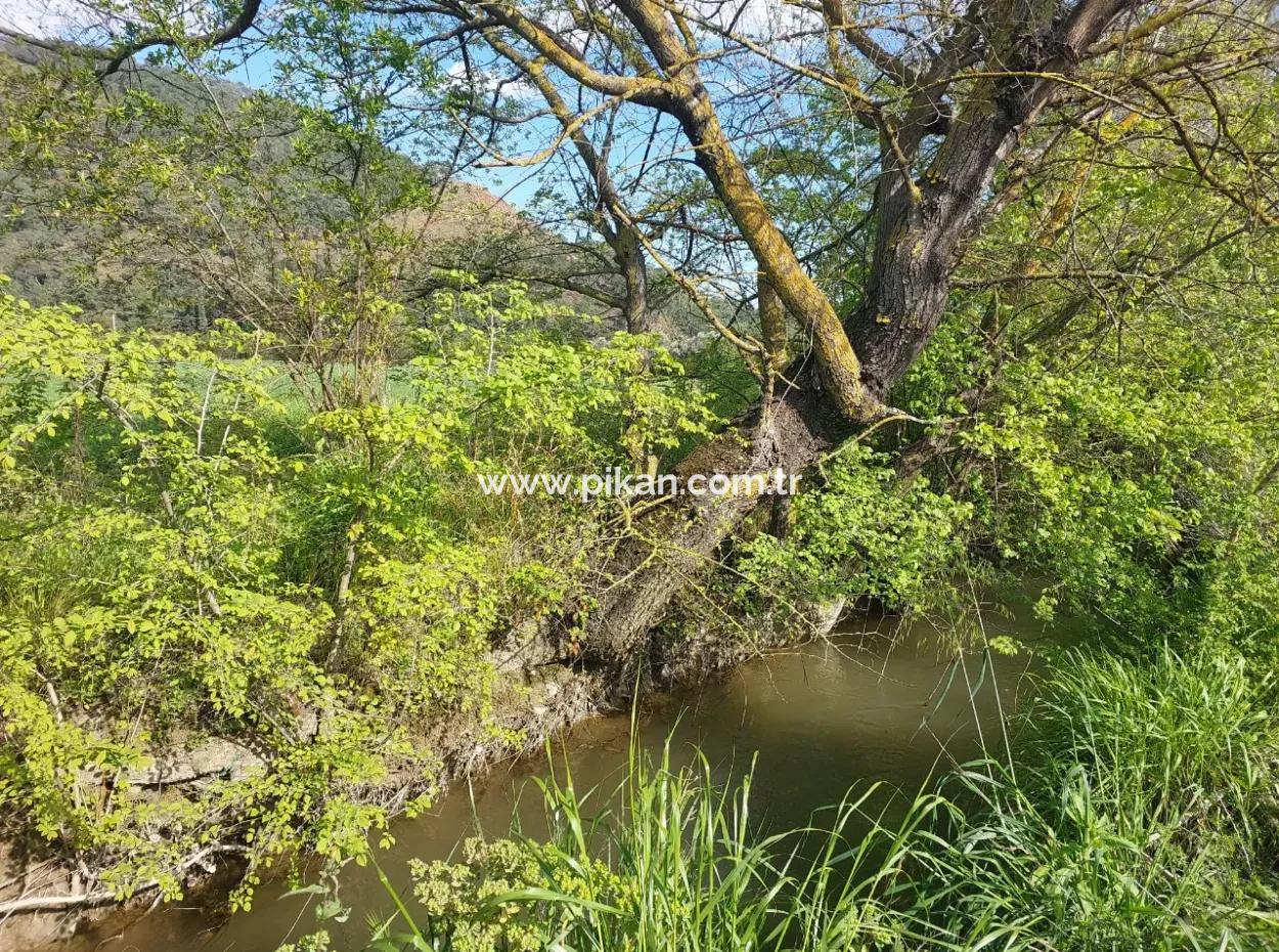 In Muğla Ortaca Eskiköy, 12.805 M2 Of Land With A Share Is For Sale.
