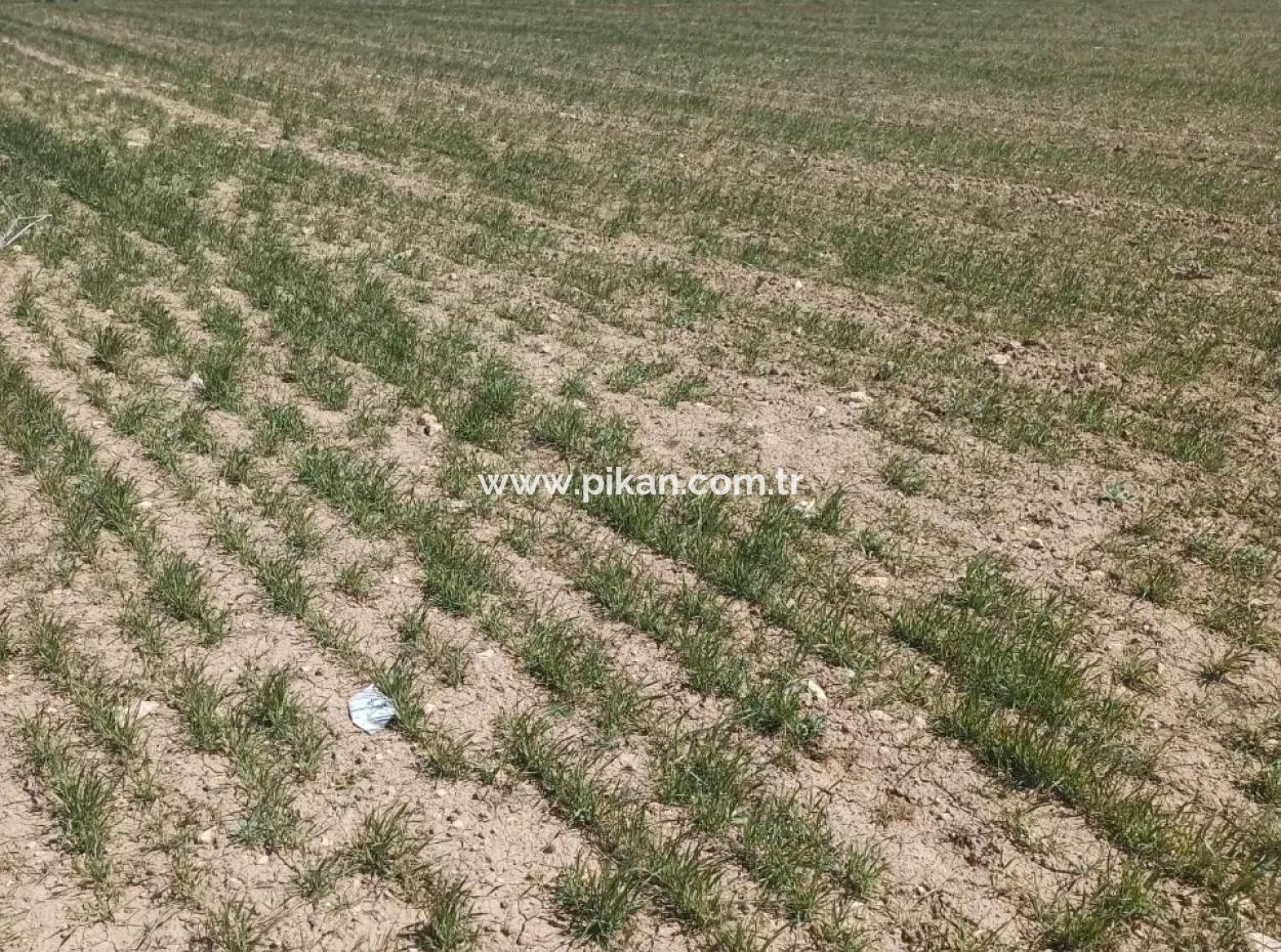 Konya Kadinhani Baskuyu 650.000 M2 Bargain Land For Sale