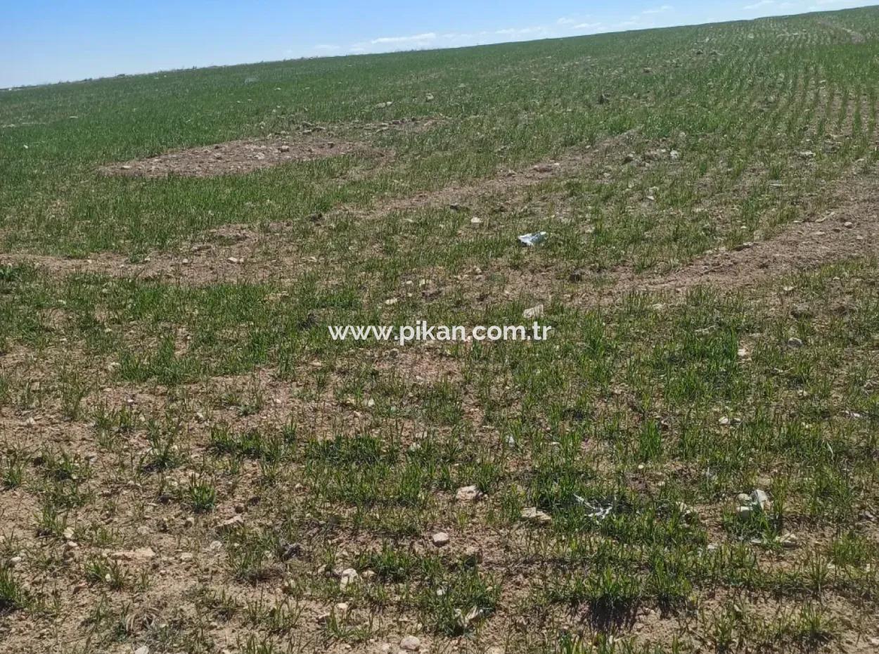 Konya Kadinhani Baskuyu 650.000 M2 Bargain Land For Sale