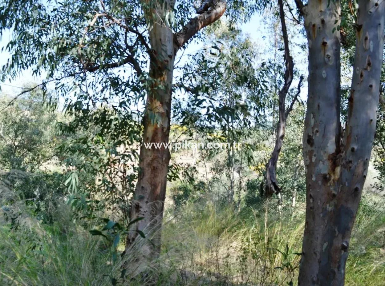 6 165 M2, 18 Villa Zoned Land Suitable For Mass Housing In Dalaman Will Be Given In Return For Floors