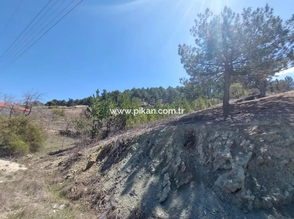 Bargain Land For Sale In Çameli Gökçeyaka 1 844 M2 Detached Land For Sale.