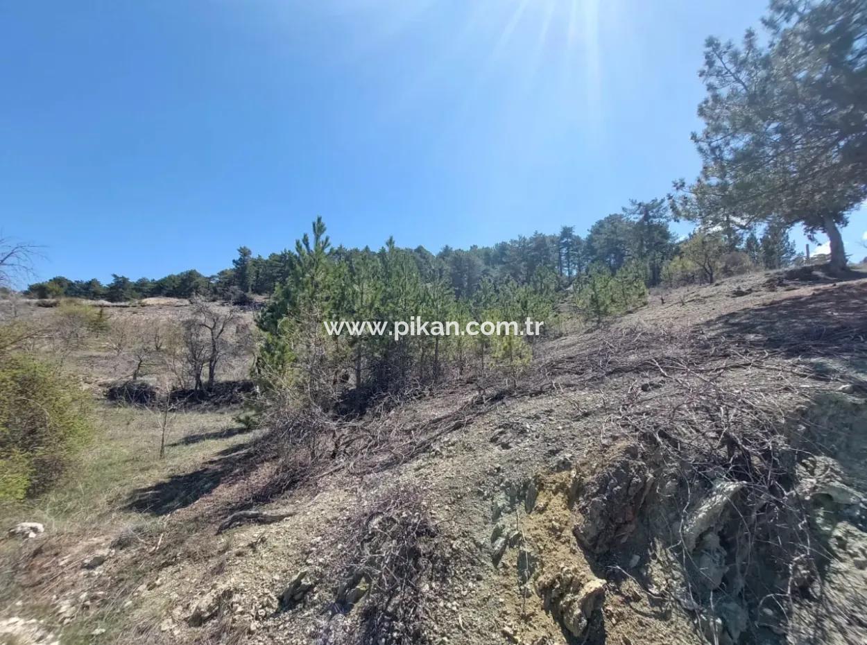 Bargain Land For Sale In Çameli Gökçeyaka 1 844 M2 Detached Land For Sale.