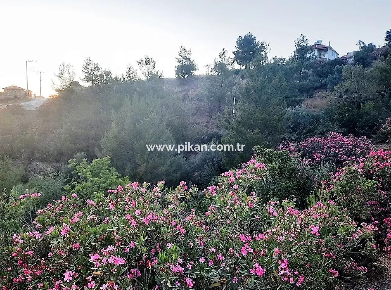 238 M2 Hobby Garden With Detached Title Deed For Sale In Ortaca Gökbel, Muğla