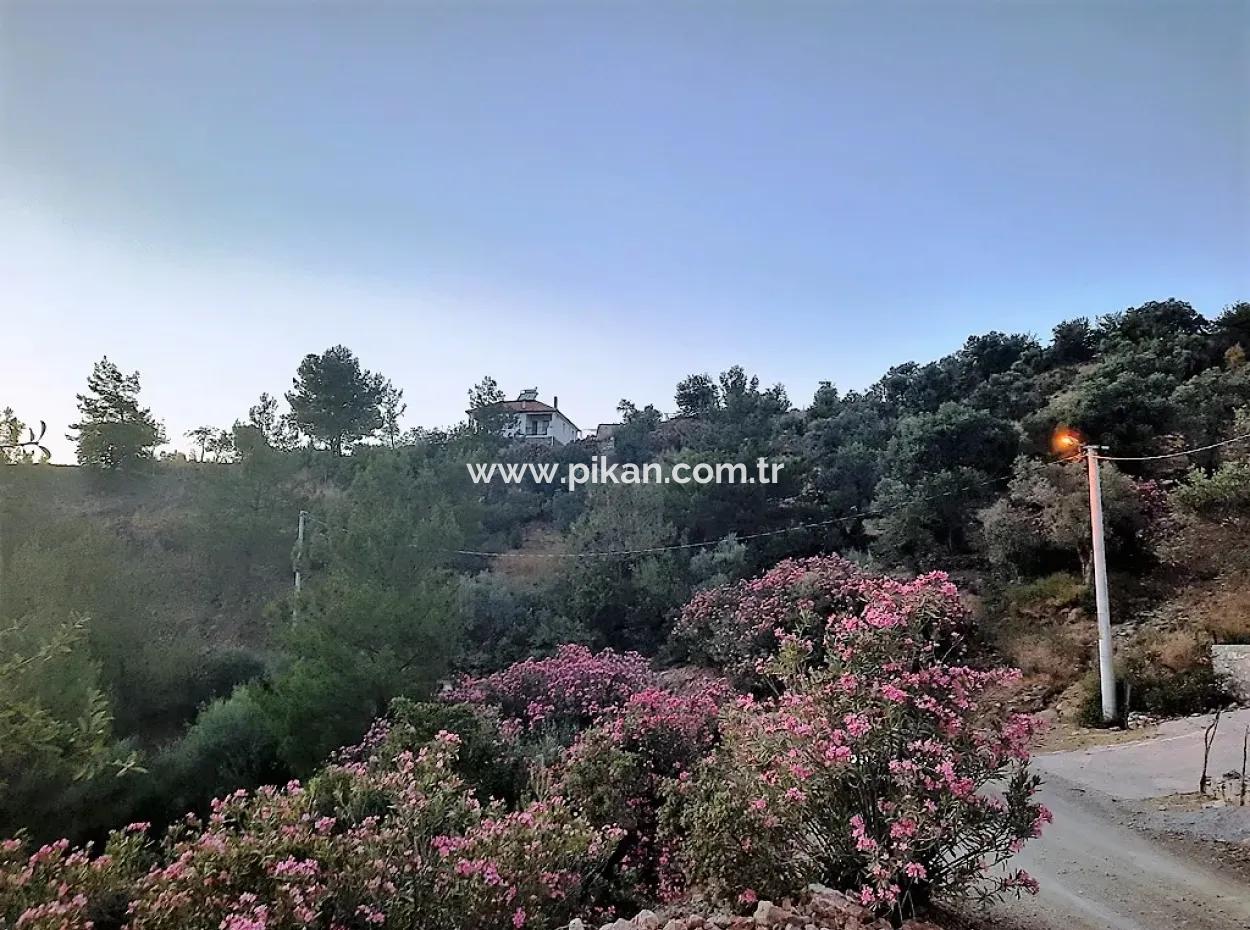 238 M2 Hobby Garden Land With Detached Title Deed For Sale In Muğla Ortaca Gökbel