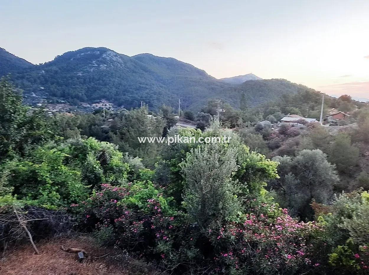 238 M2 Hobby Garden With Detached Title Deed For Sale In Ortaca Gökbel, Muğla