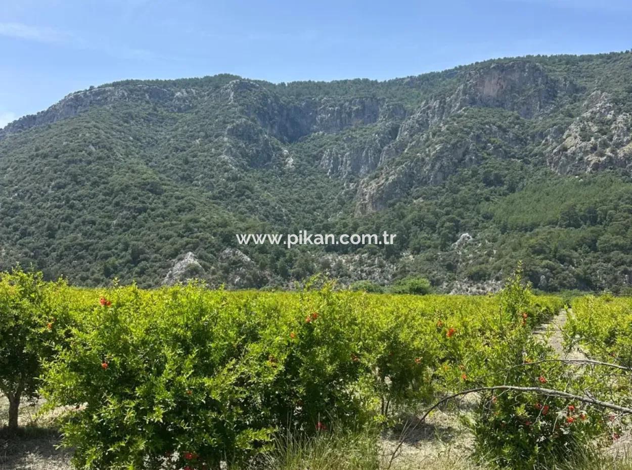 13 500 M2 Field For Sale In Ortaca Mergenli