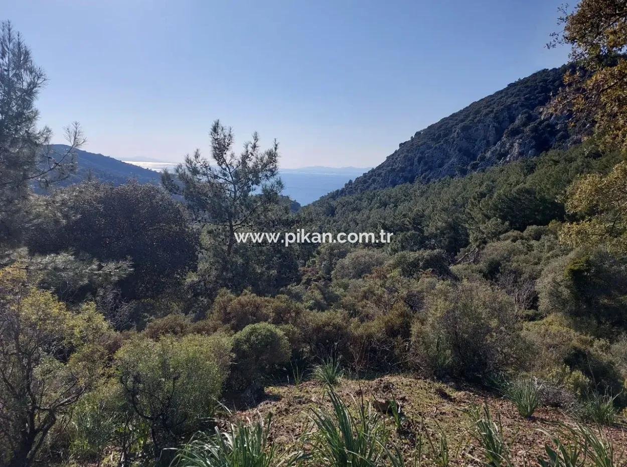 5.216 M2, 2B Land For Sale In Ortaca Gökbelde With Detached Title Deed Sea View