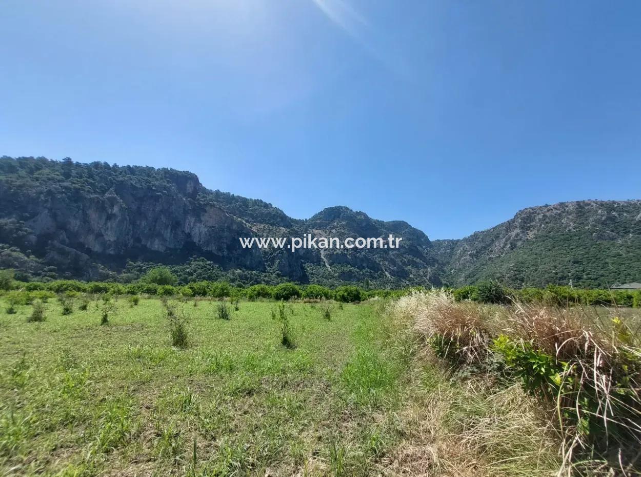Land For Sale In Muğla Marmarlı In 5 800 M2 Zoning Plan Suitable For Investment