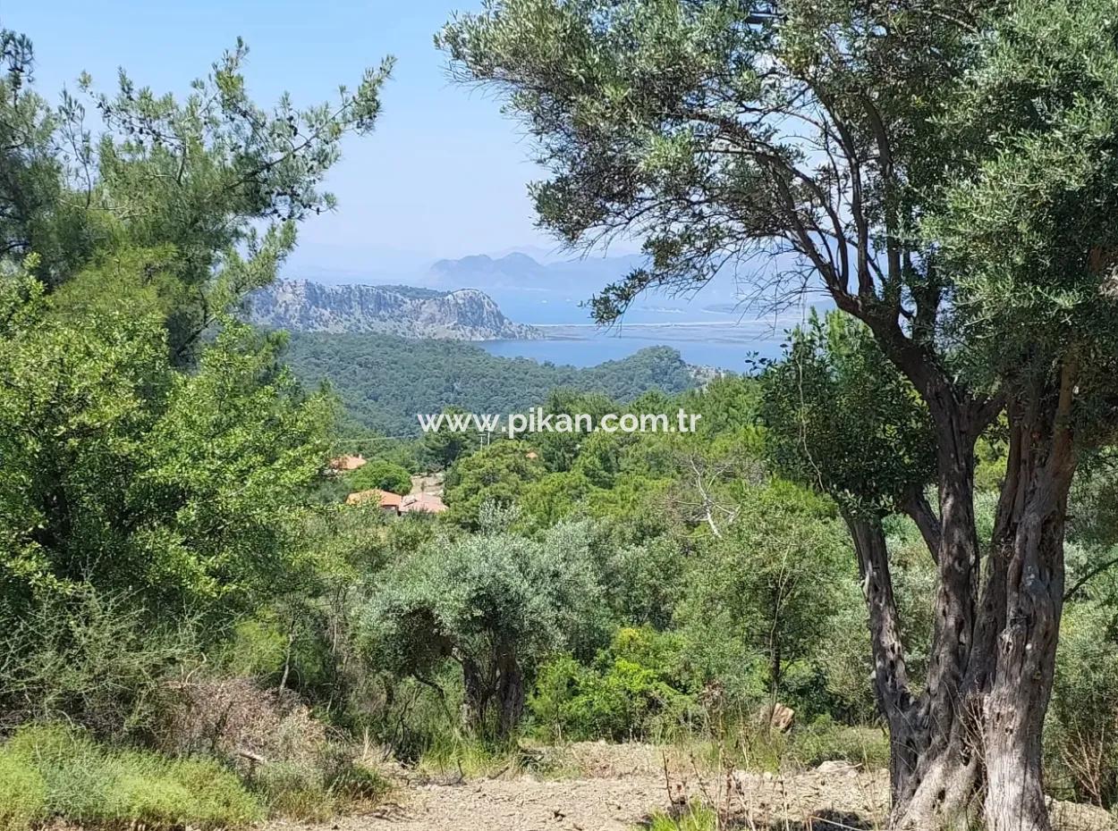 1,000 M² Investment Land With Lake And Sea Views For Sale In Muğla Ortaca Gökbel