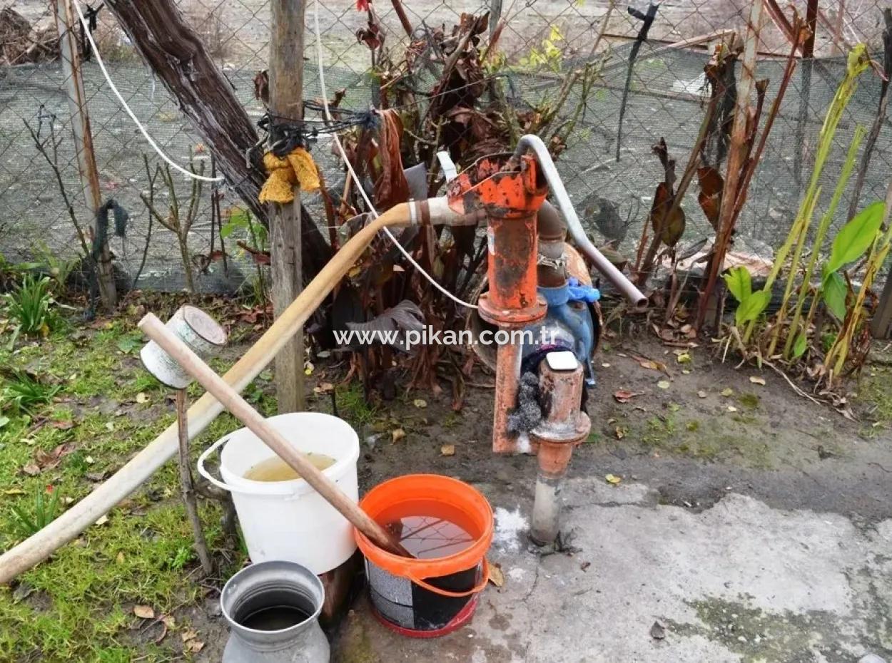 For Sale Detached House Guzelyurt Village Ta