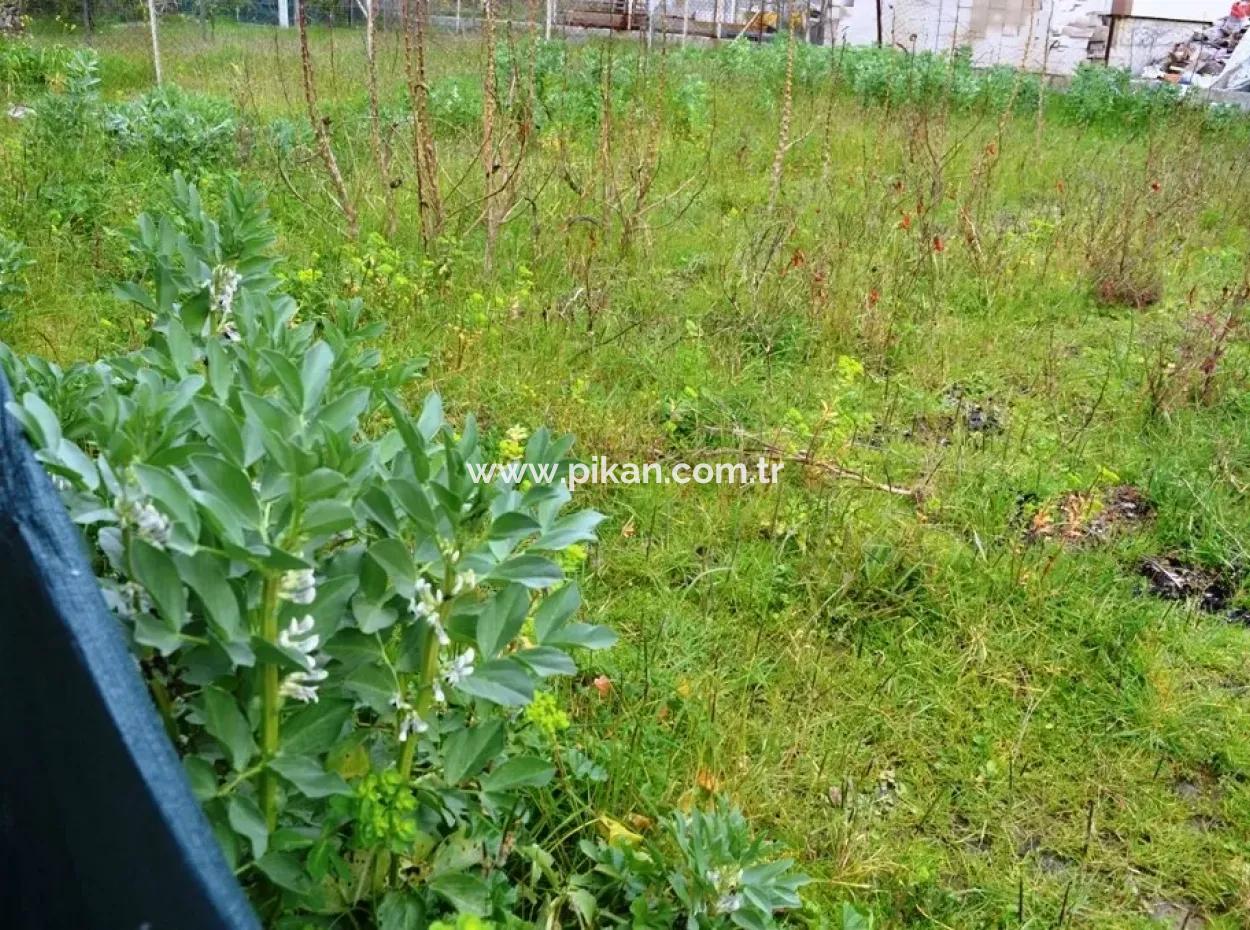 For Sale Detached House Guzelyurt Village Ta