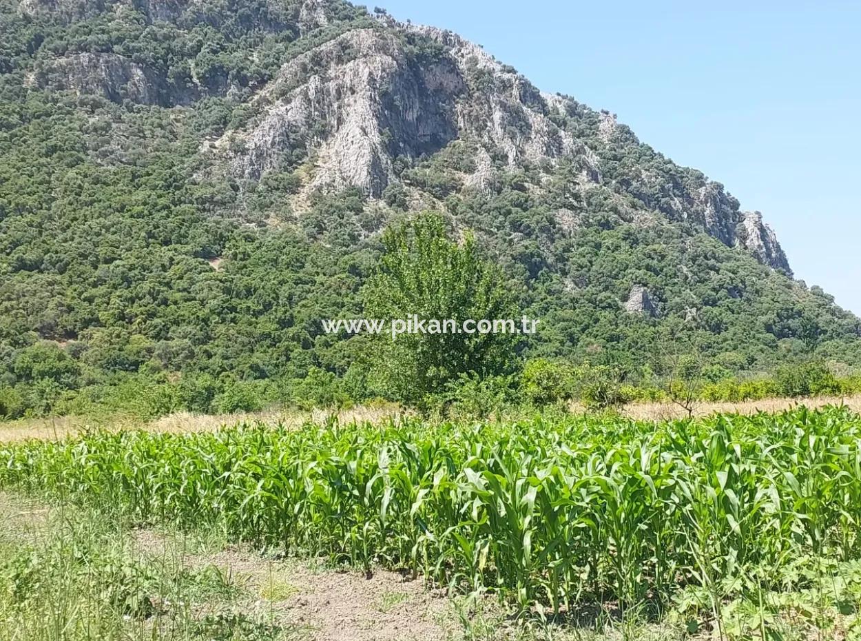 1 900 M2 In Dalyan Okçular Marmarlı, Land In The Zoning Plan Is For Sale