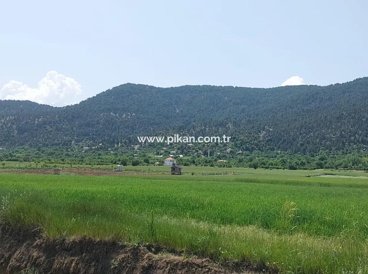 Bargain Land For Sale In Çameli Bıçakçı – 5.333 M² Detached Title Deed