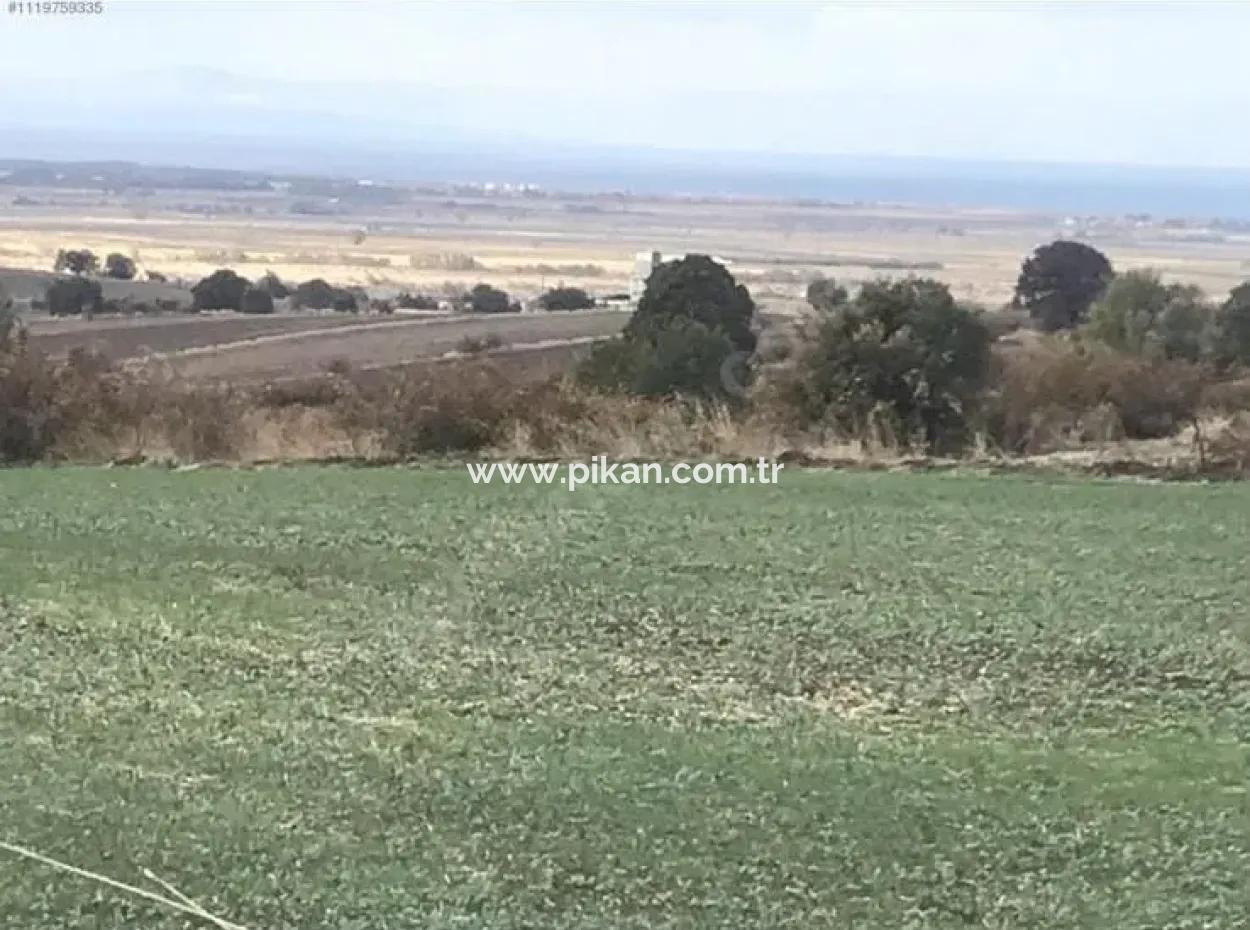 Canakkale Biga Koruobada Sea View Bargain 9 715 M2 Detached Detached Fertile Land For Sale