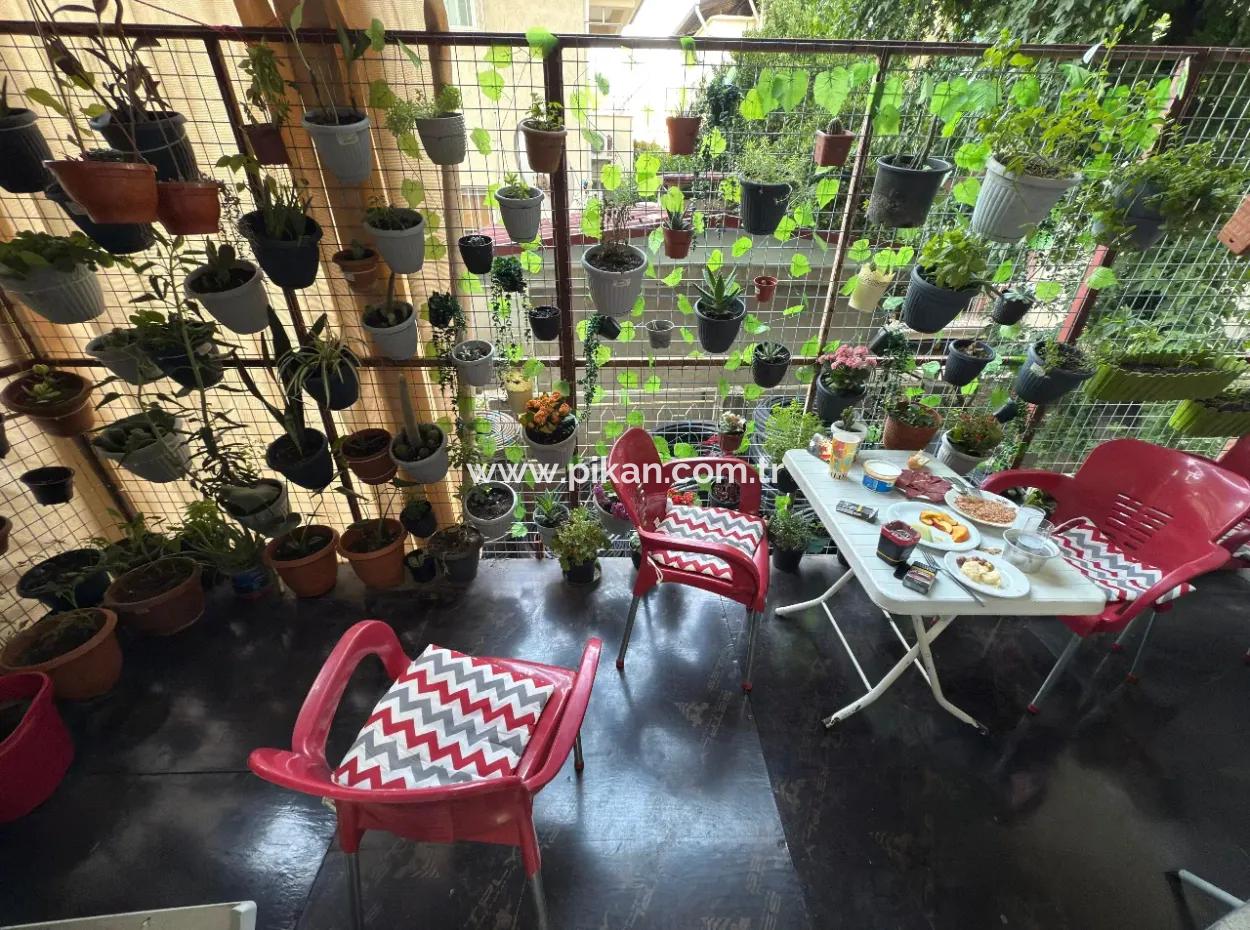 210 M2 Tekel Market For Rent On The Busiest Street Of Ortaca.